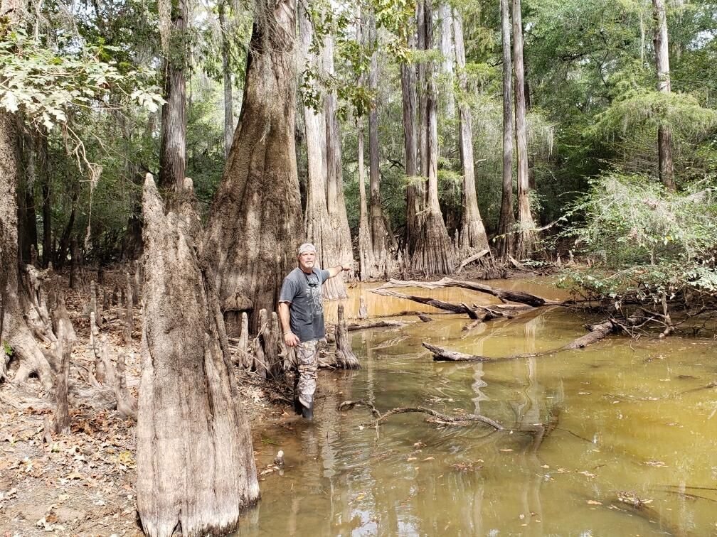 Jeffersonville, Twiggs County, GA Recreational Property, Timberland