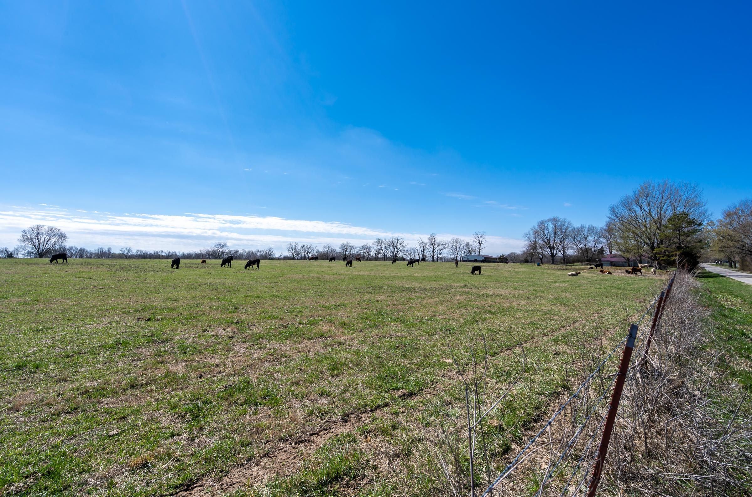 Siloam Springs, Benton County, AR Horse Property for sale Property ID