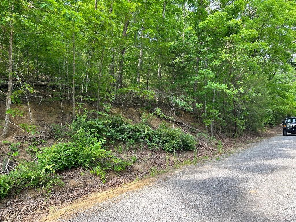 Sevierville, Sevier County, TN Undeveloped Land, Homesites for sale