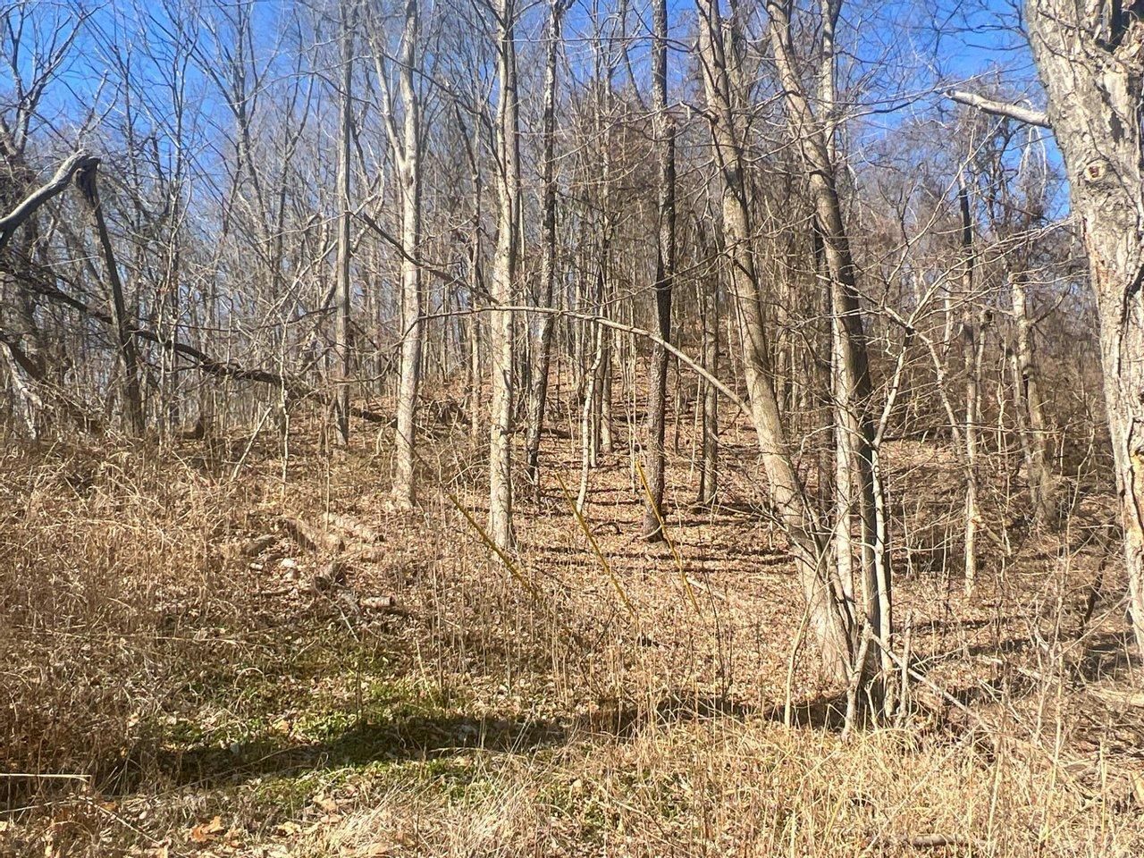 Waverly, Ross County, OH Recreational Property, Hunting Property for
