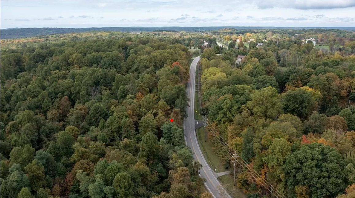 Newbury, Geauga County, OH Timberland Property, Undeveloped Land