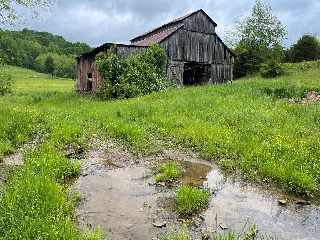 Burkesville, Cumberland County, KY Farms and Ranches for sale Property