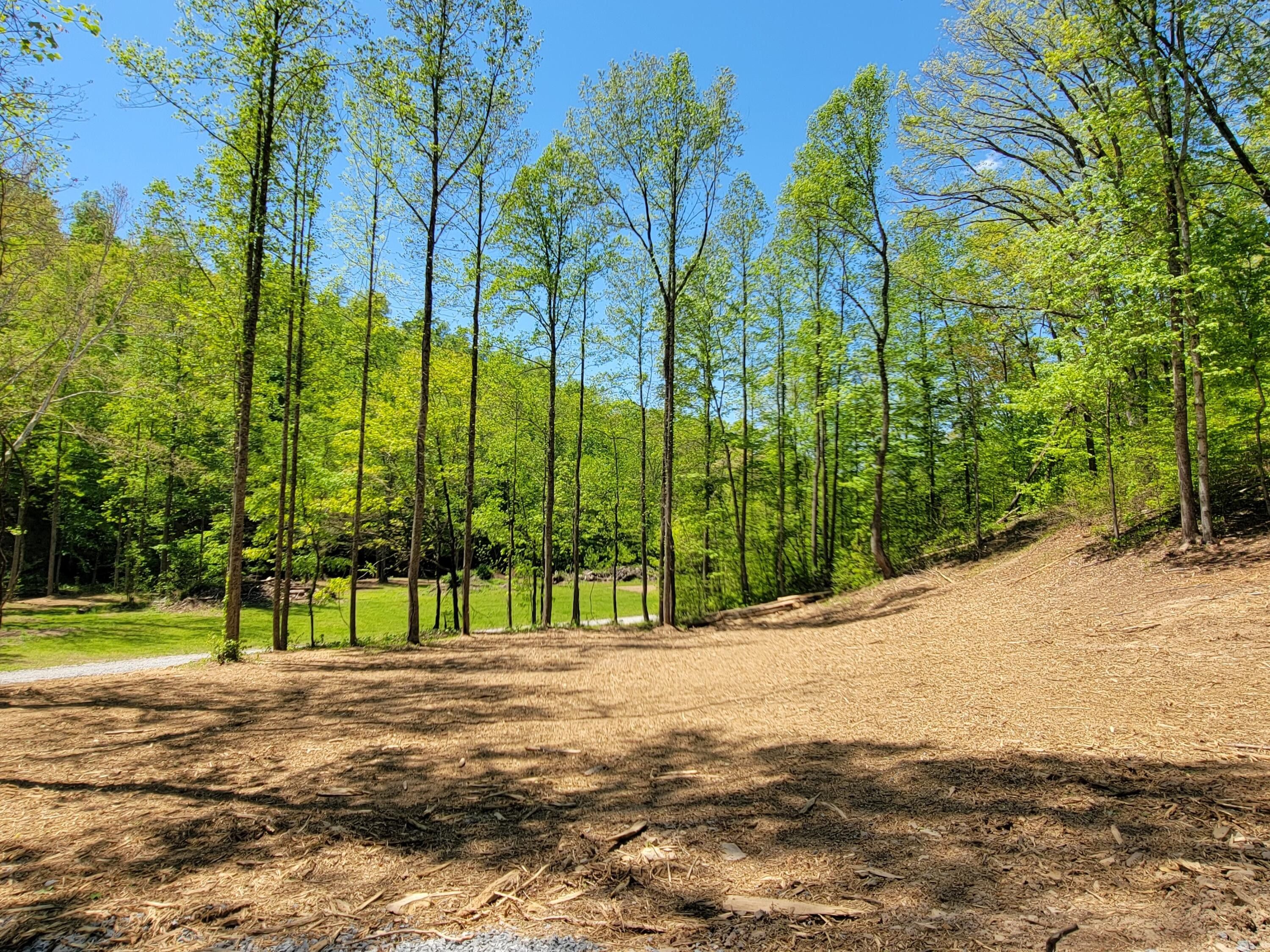 Hillsboro, Fleming County, KY Farms and Ranches, Homesites for sale