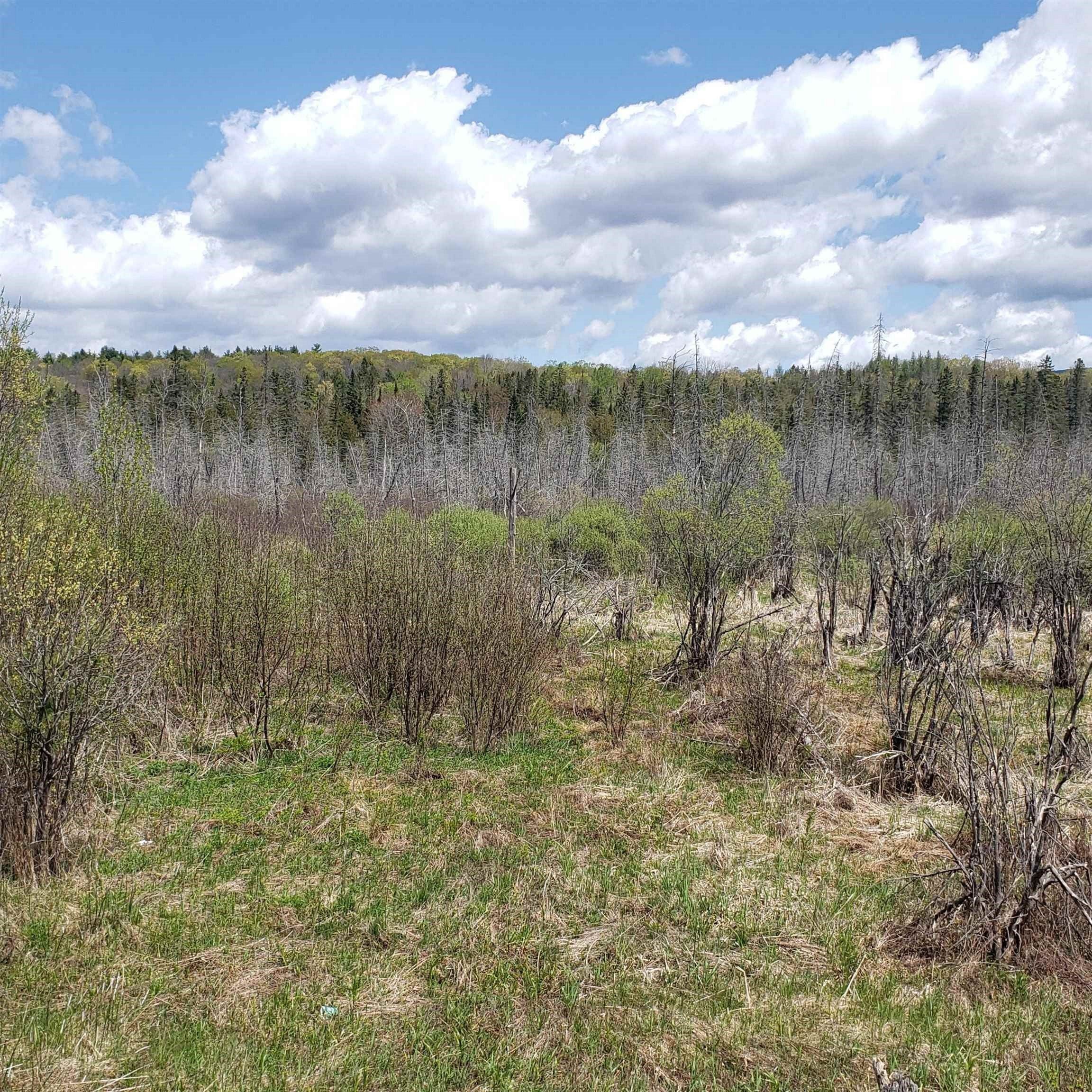 Barre, Washington County, VT Farms and Ranches, Homesites for sale