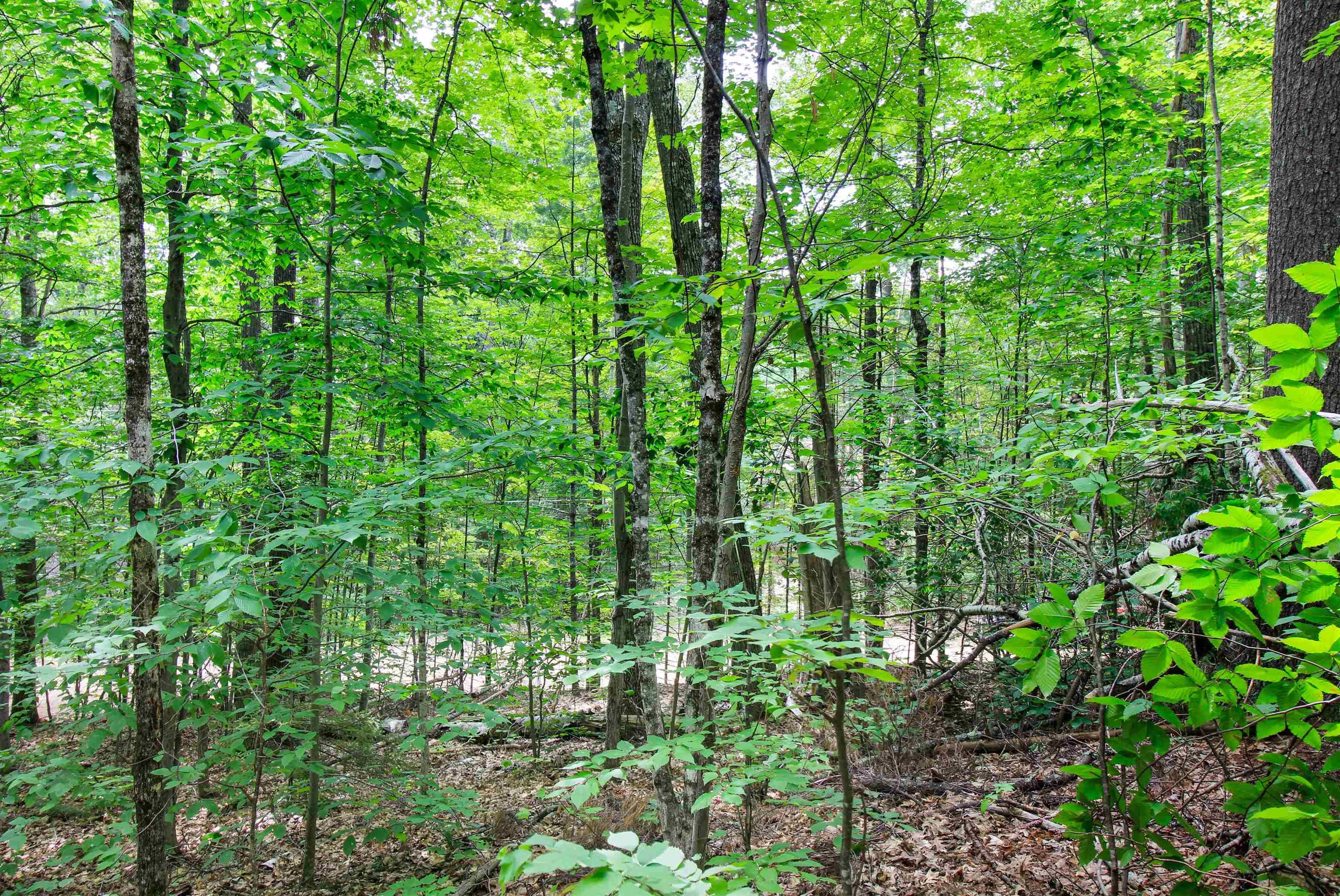 Campton, Grafton County, NH Undeveloped Land, Homesites for sale