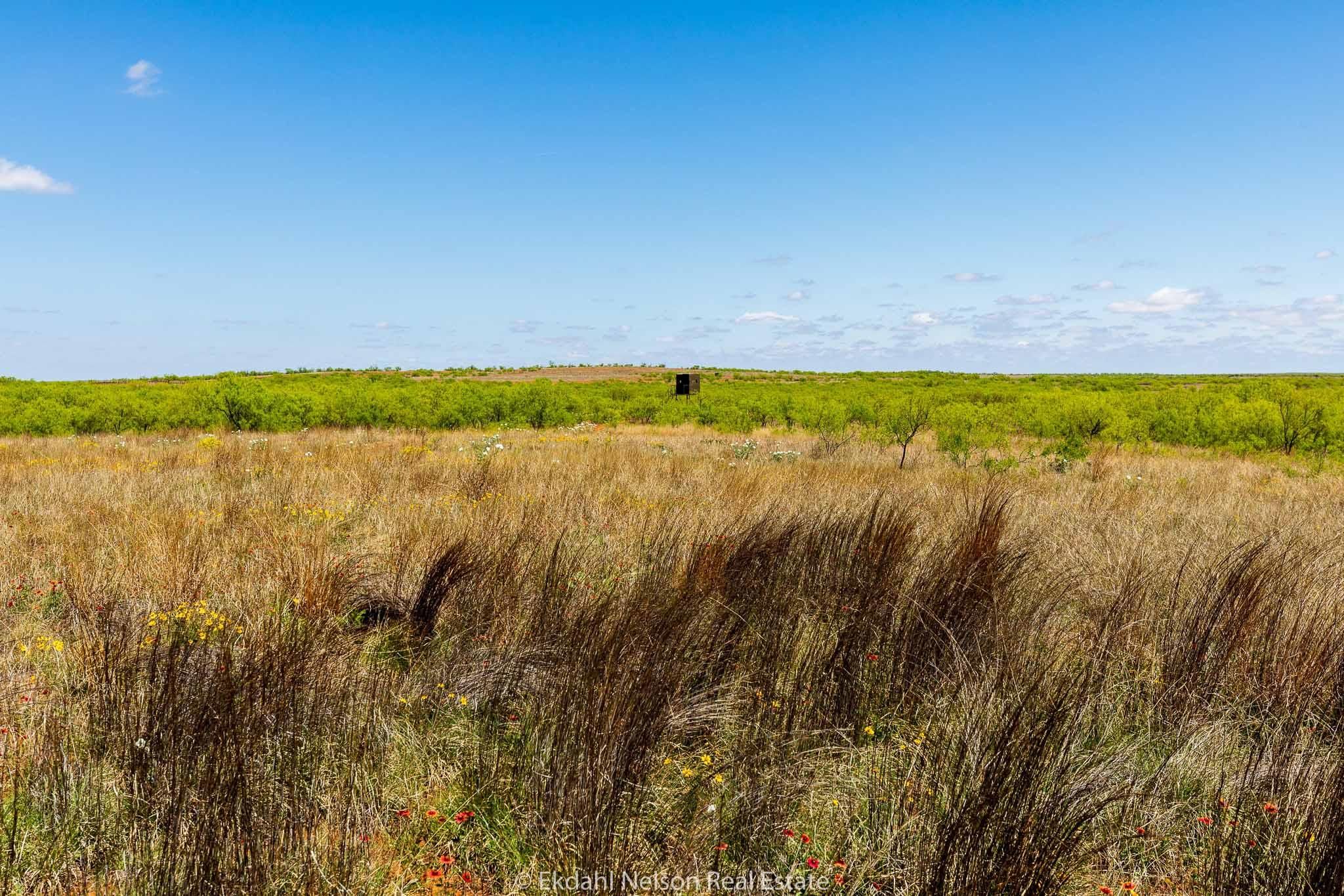 Jayton, Stonewall County, TX Farms and Ranches, Recreational Property, Hunting Property for sale