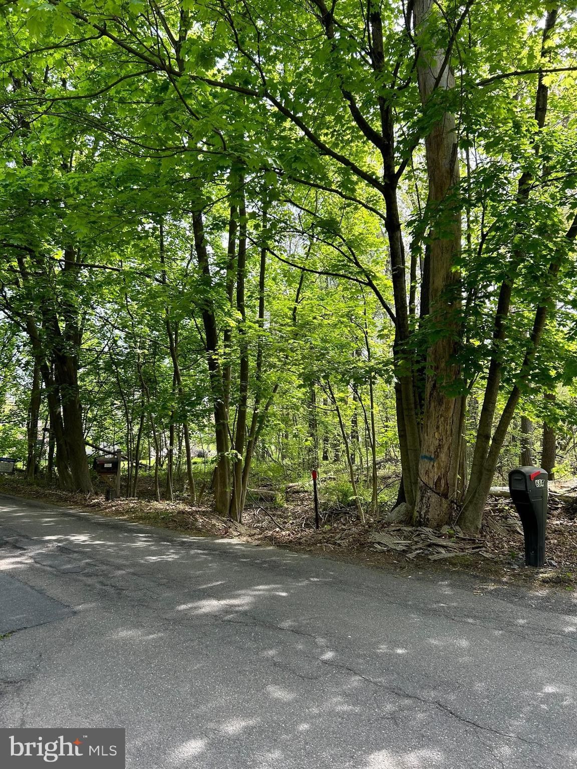 Barnesville, Schuylkill County, PA Undeveloped Land, Homesites for sale Property ID 339149674