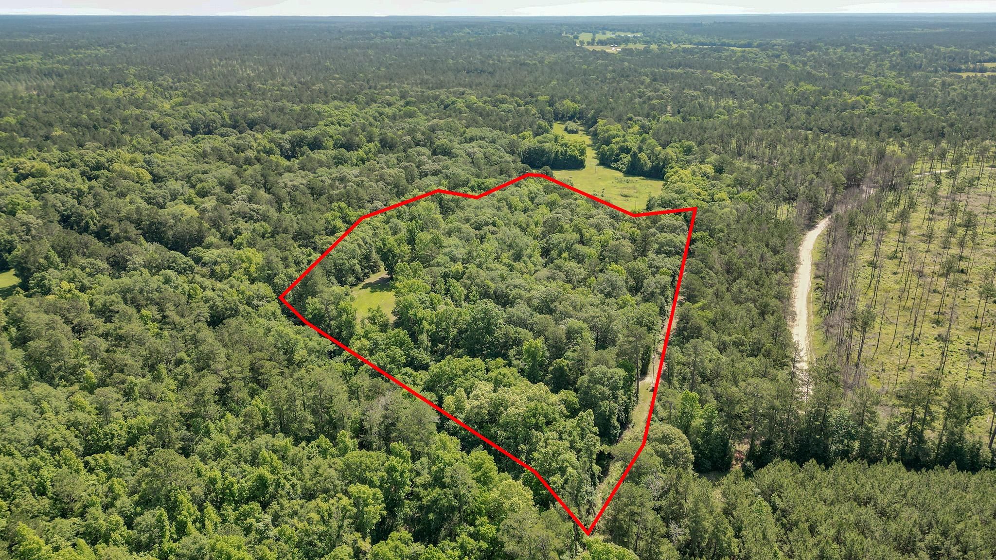 Livingston, Polk County, TX Farms and Ranches, Recreational Property, Hunting Property, House