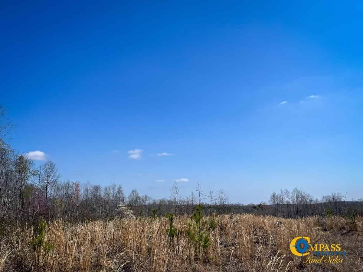 Erin, Houston County, TN Recreational Property, Undeveloped Land, Hunting Property for sale