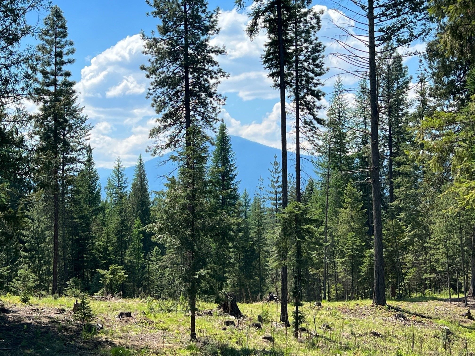 Troy, Lincoln County, MT House for sale Property ID 416490081 LandWatch