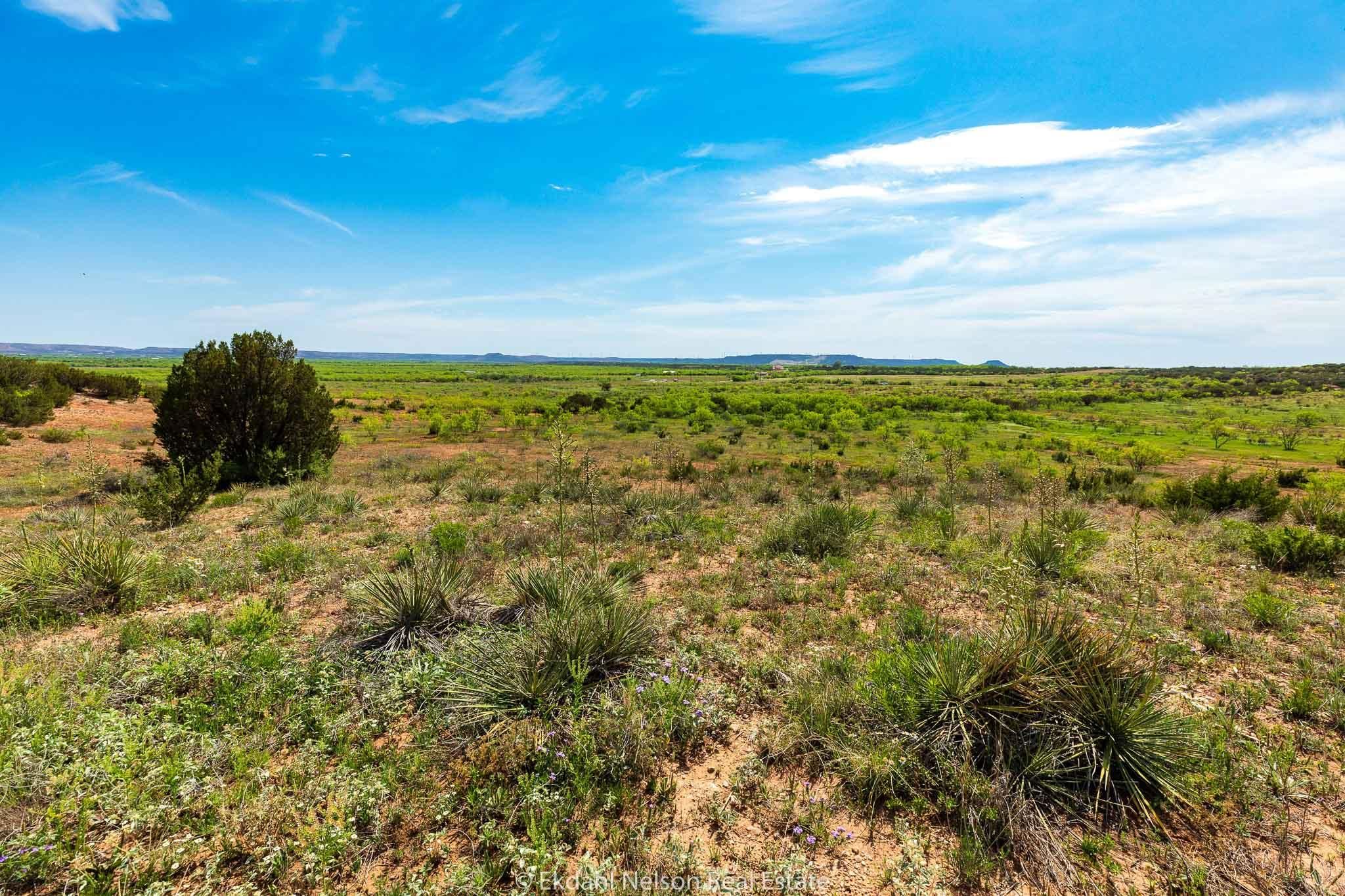 Abilene, Taylor County, TX Farms and Ranches, Hunting Property, House