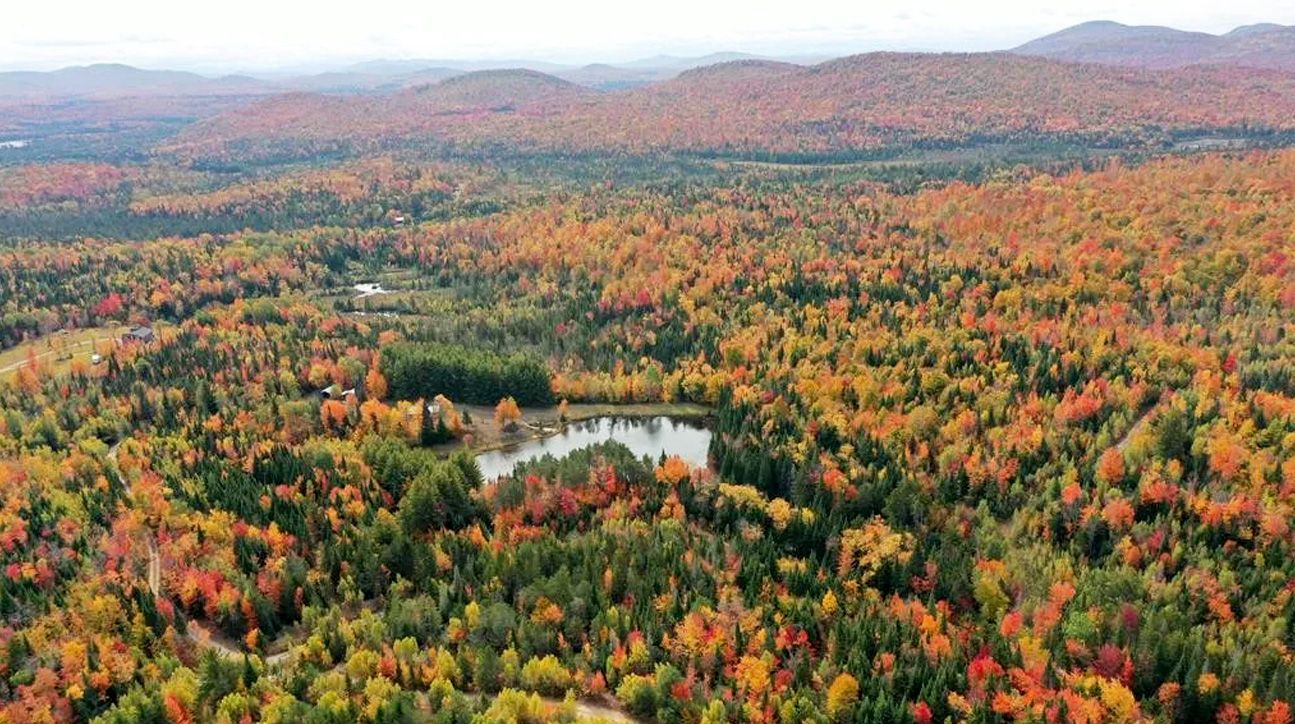 Saint Regis Falls, Franklin County, NY Farms and Ranches, Undeveloped