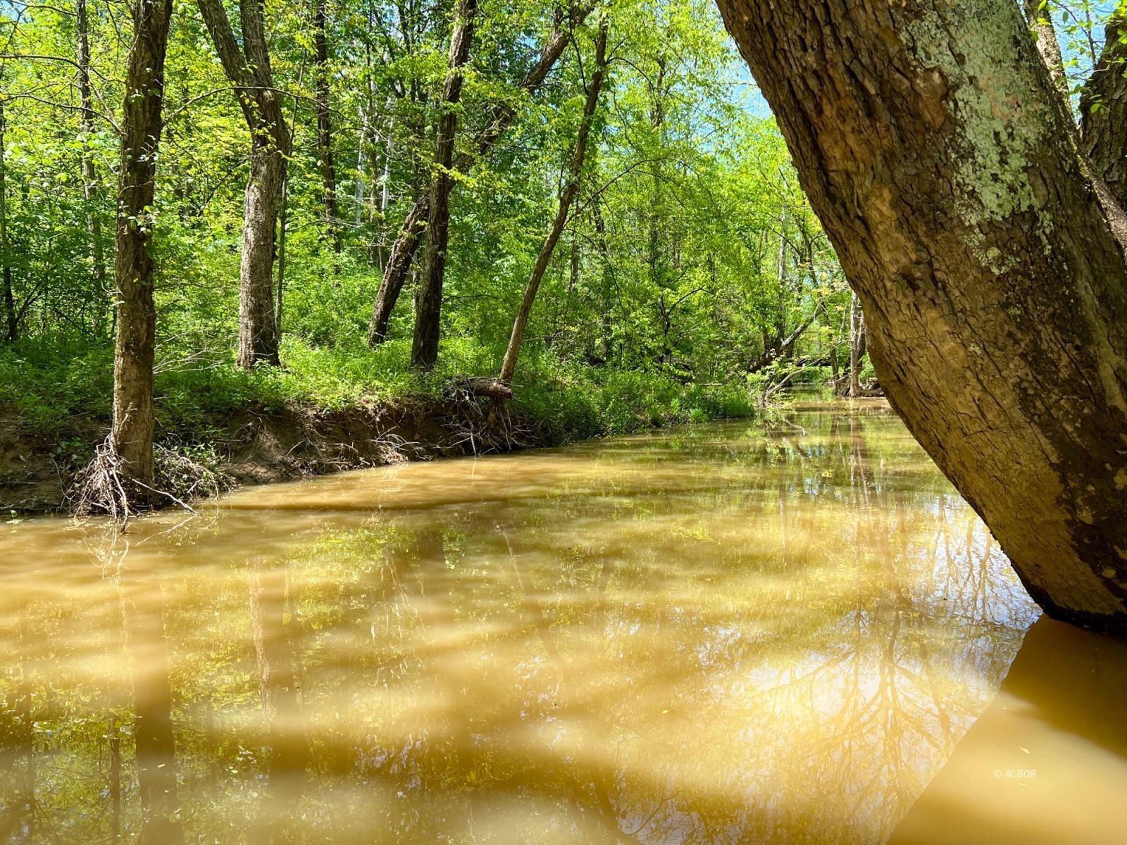 Zaleski, Vinton County, OH Farms and Ranches for sale Property ID