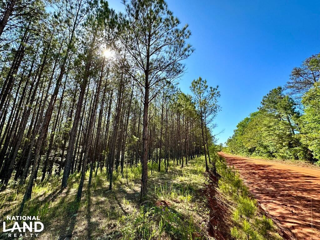 Dry Branch, Twiggs County, GA Recreational Property, Timberland