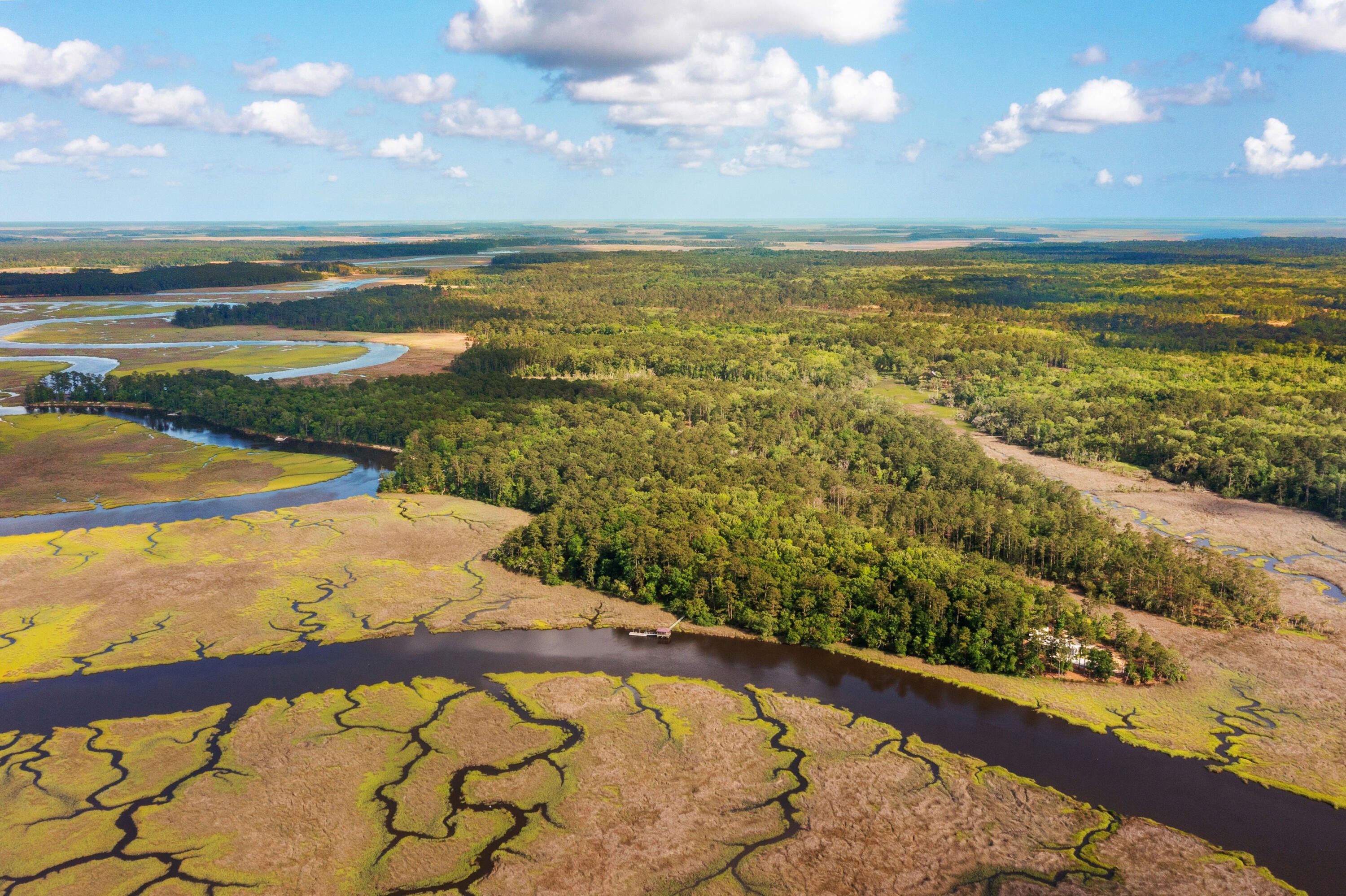Green Pond, Colleton County, SC Undeveloped Land, Lakefront Property