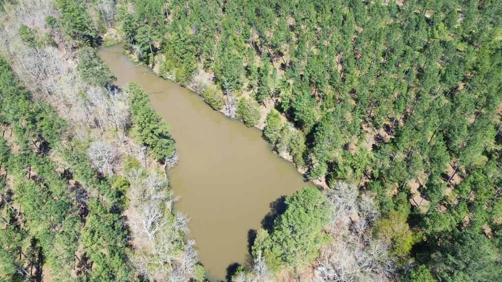 Union, Union County, SC Timberland Property for sale Property ID