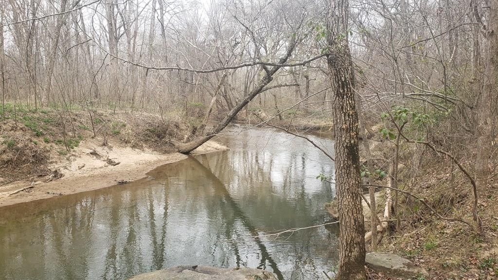 Farmville, Prince Edward County, VA Farms and Ranches for sale Property