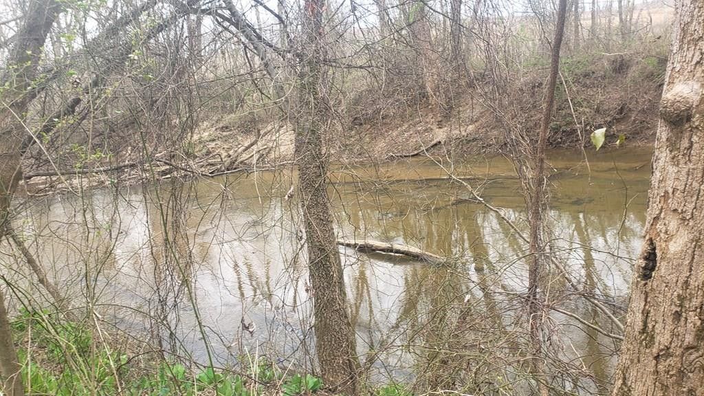 Farmville, Prince Edward County, VA Farms and Ranches for sale Property