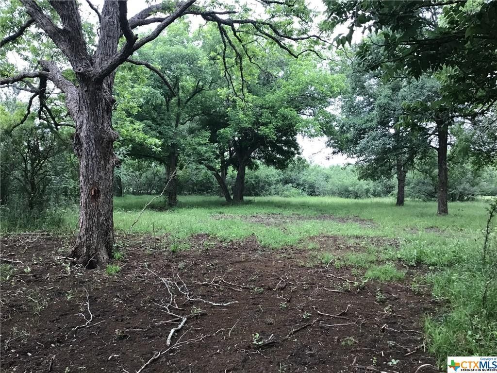 Waelder, Gonzales County, TX Farms and Ranches for sale Property ID