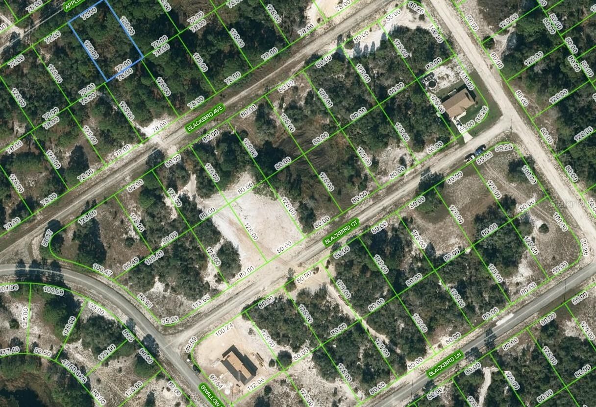 Lake Placid, Highlands County, FL Farms and Ranches, Homesites for sale Property ID 416498176