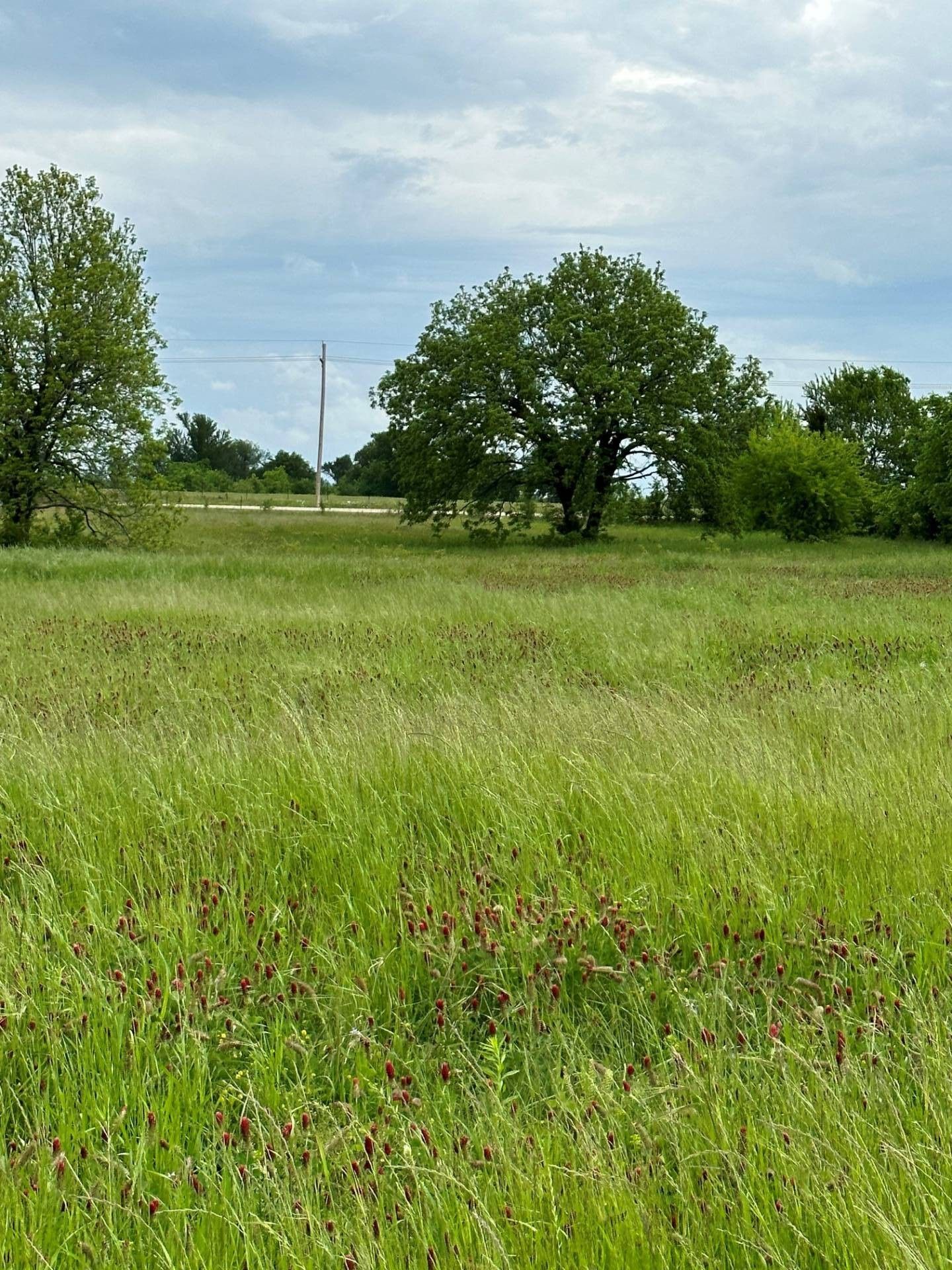 Soper, Choctaw County, OK Farms and Ranches, Lakefront Property