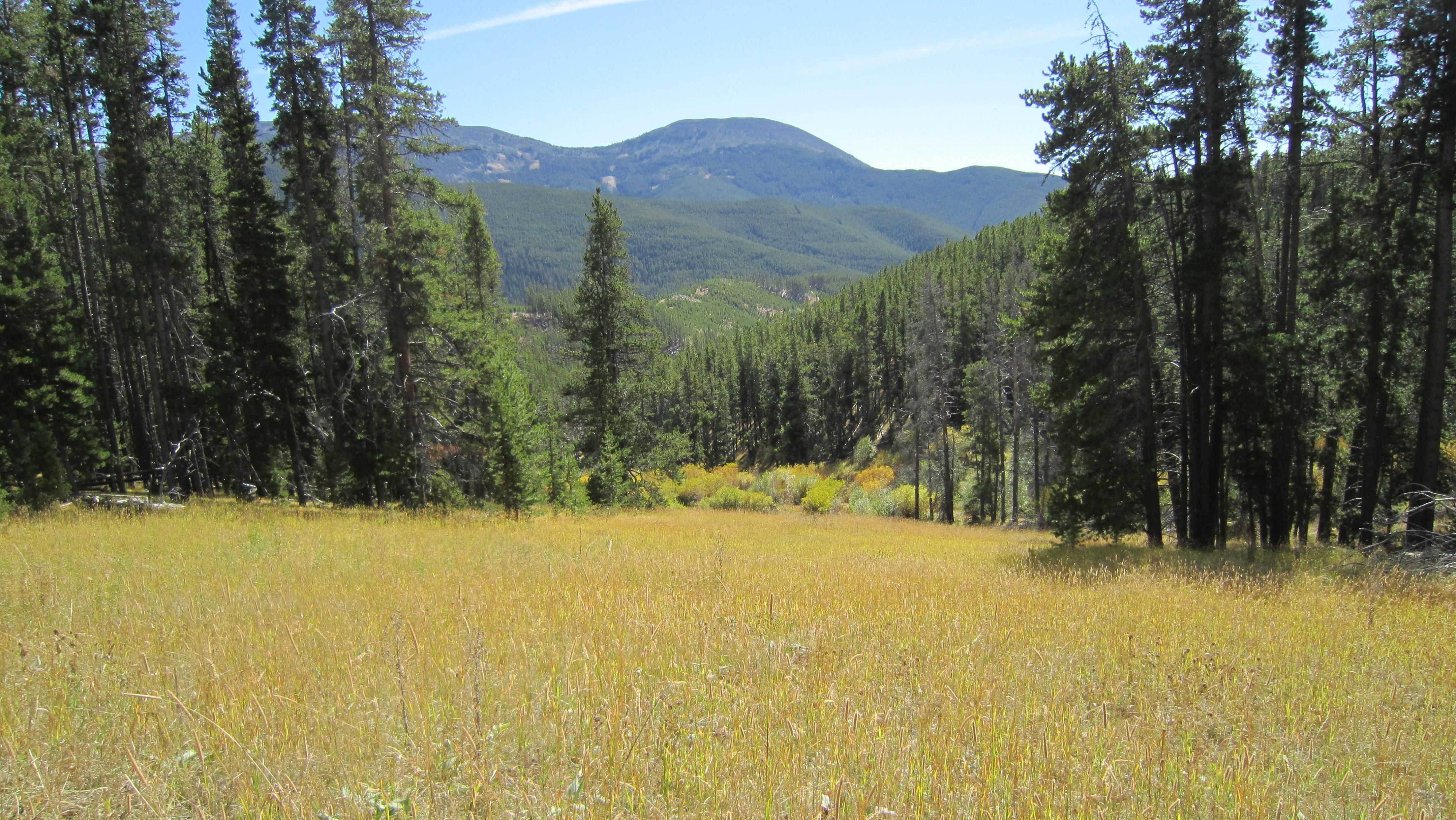 Pioneer Lane, Neihart, MT 59465 LandWatch