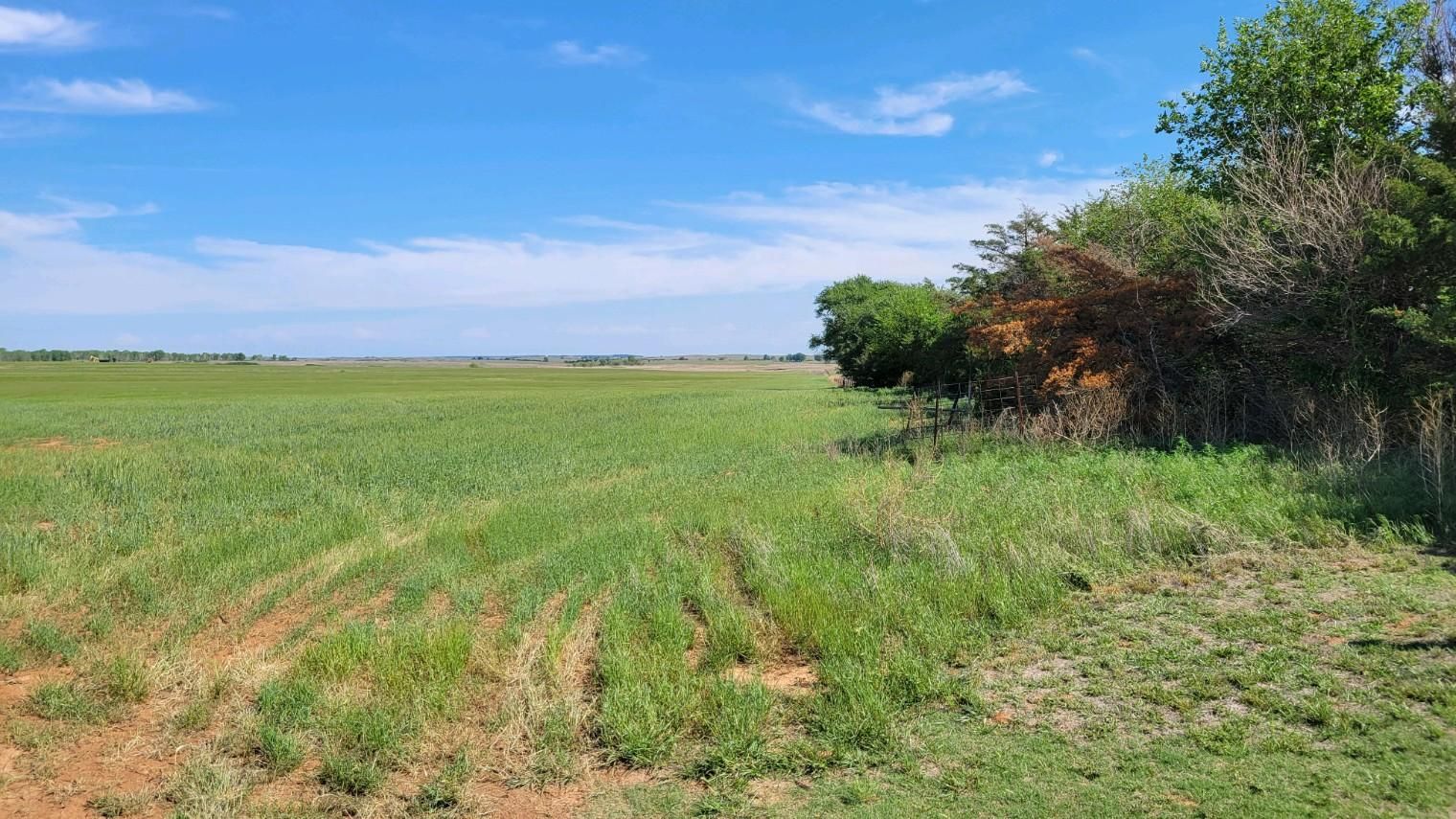 Hardtner, Barber County, KS Farms and Ranches for sale Property ID 416500037 LandWatch