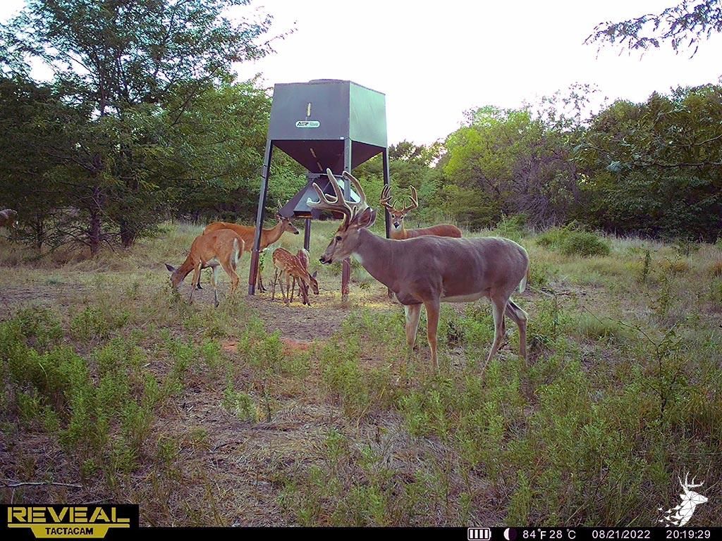 Garfield, Pawnee County, KS Farms and Ranches, Recreational Property