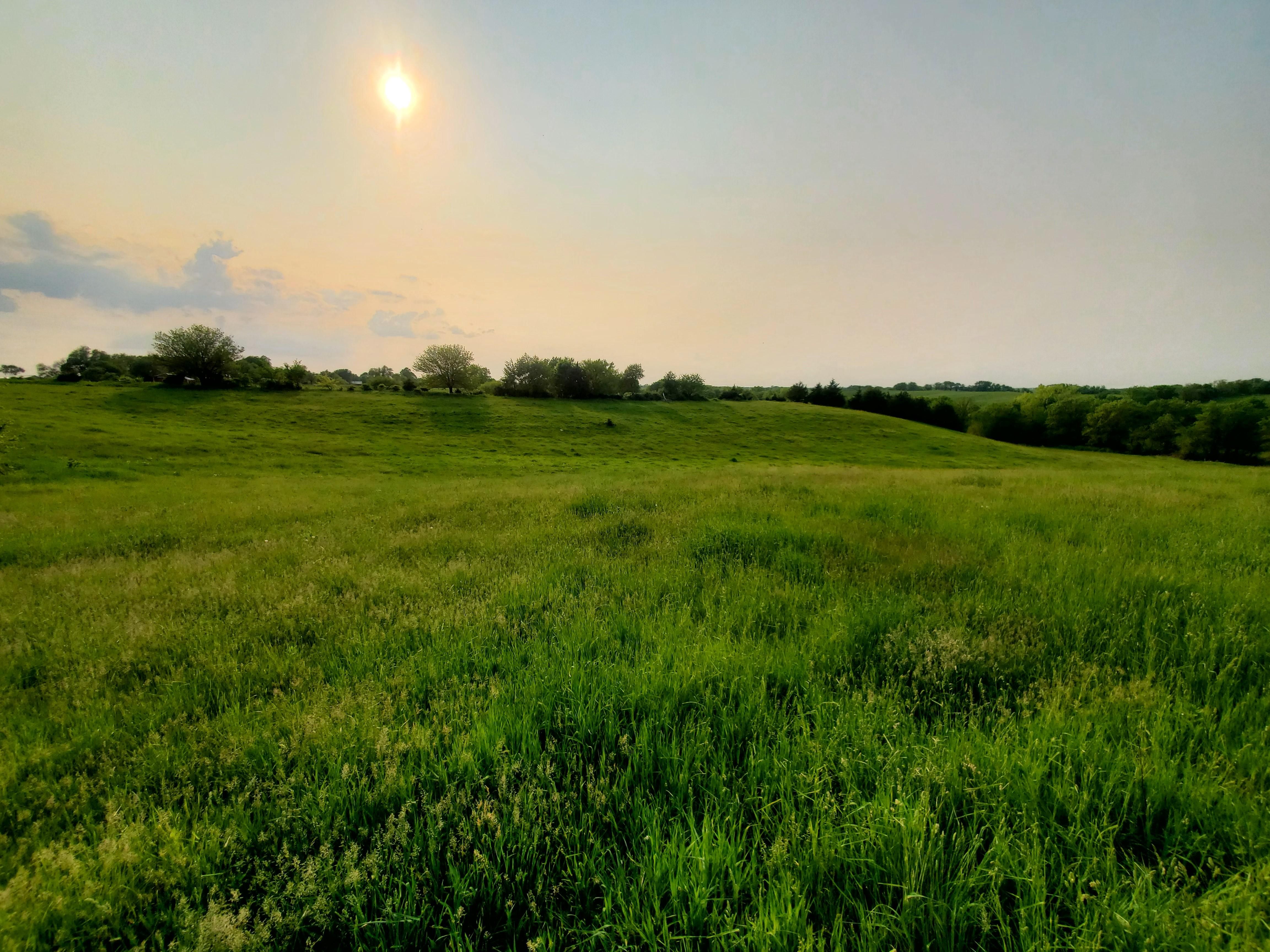 Pollock, Sullivan County, MO Farms and Ranches, Recreational Property