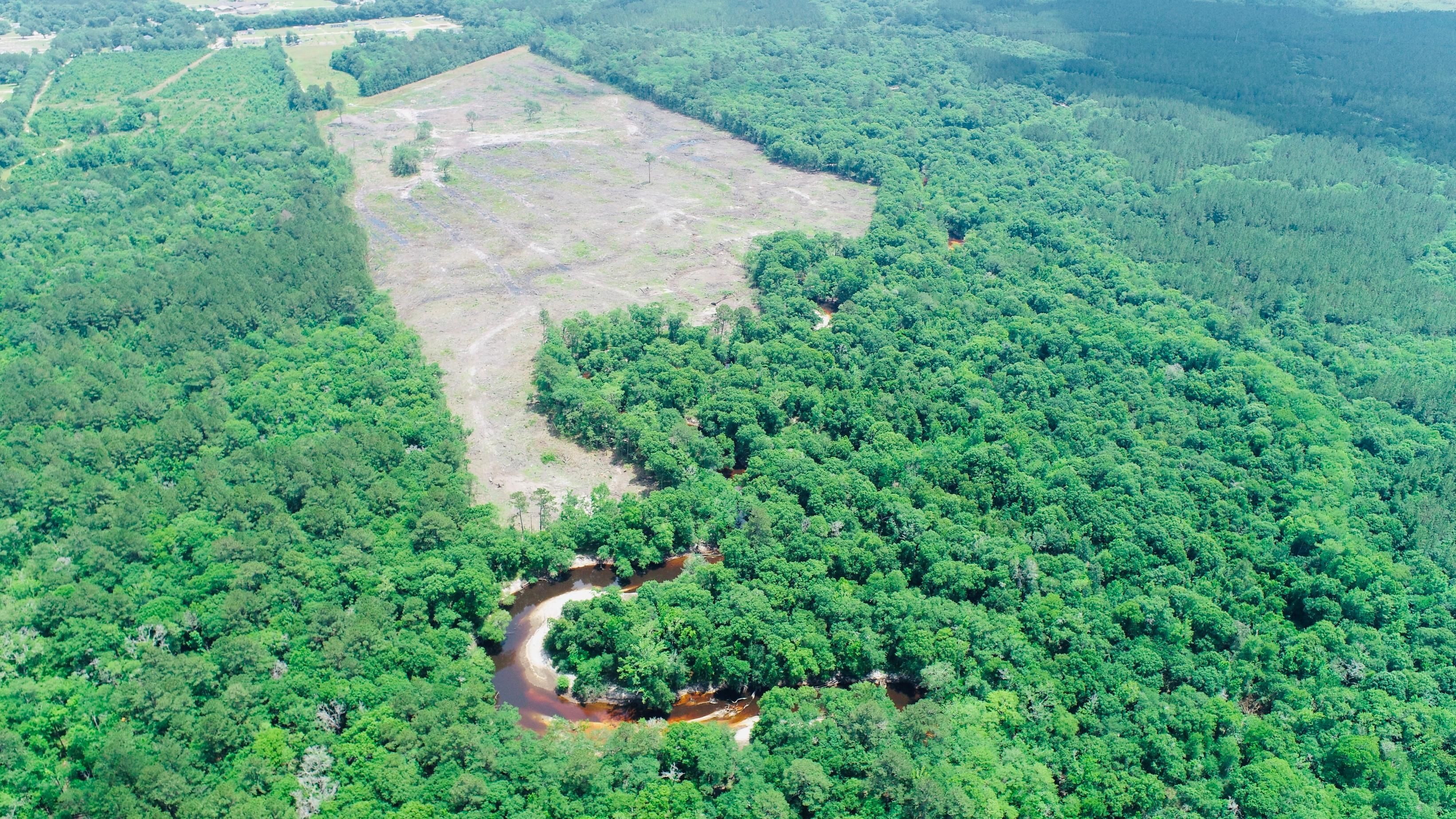 Willacoochee, Atkinson County, GA Recreational Property, Hunting Property for sale Property ID