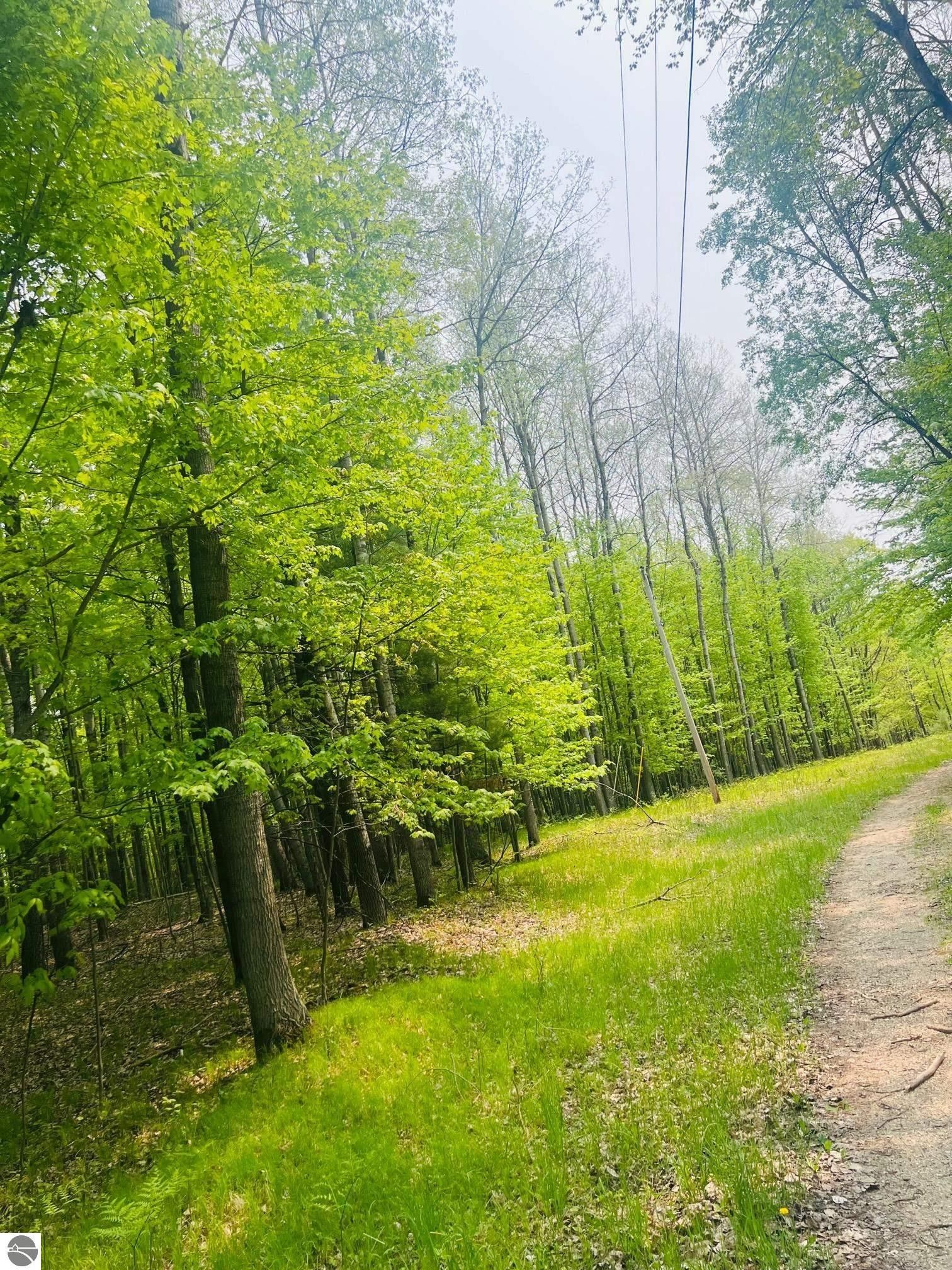 Lake, Isabella County, MI Farms and Ranches, Lakefront Property, Waterfront Property for sale