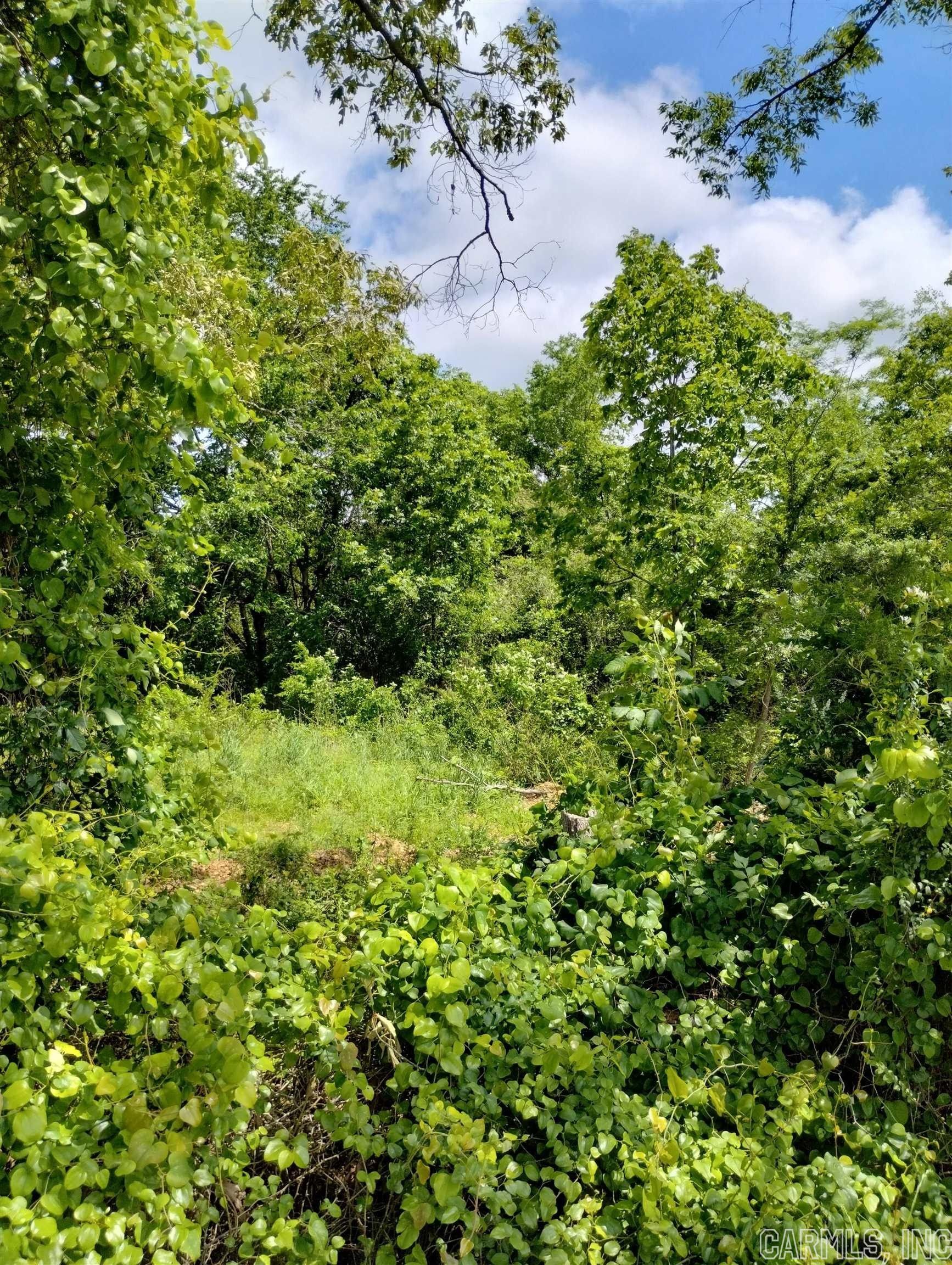 Rosboro, Montgomery County, AR Undeveloped Land, Homesites for sale