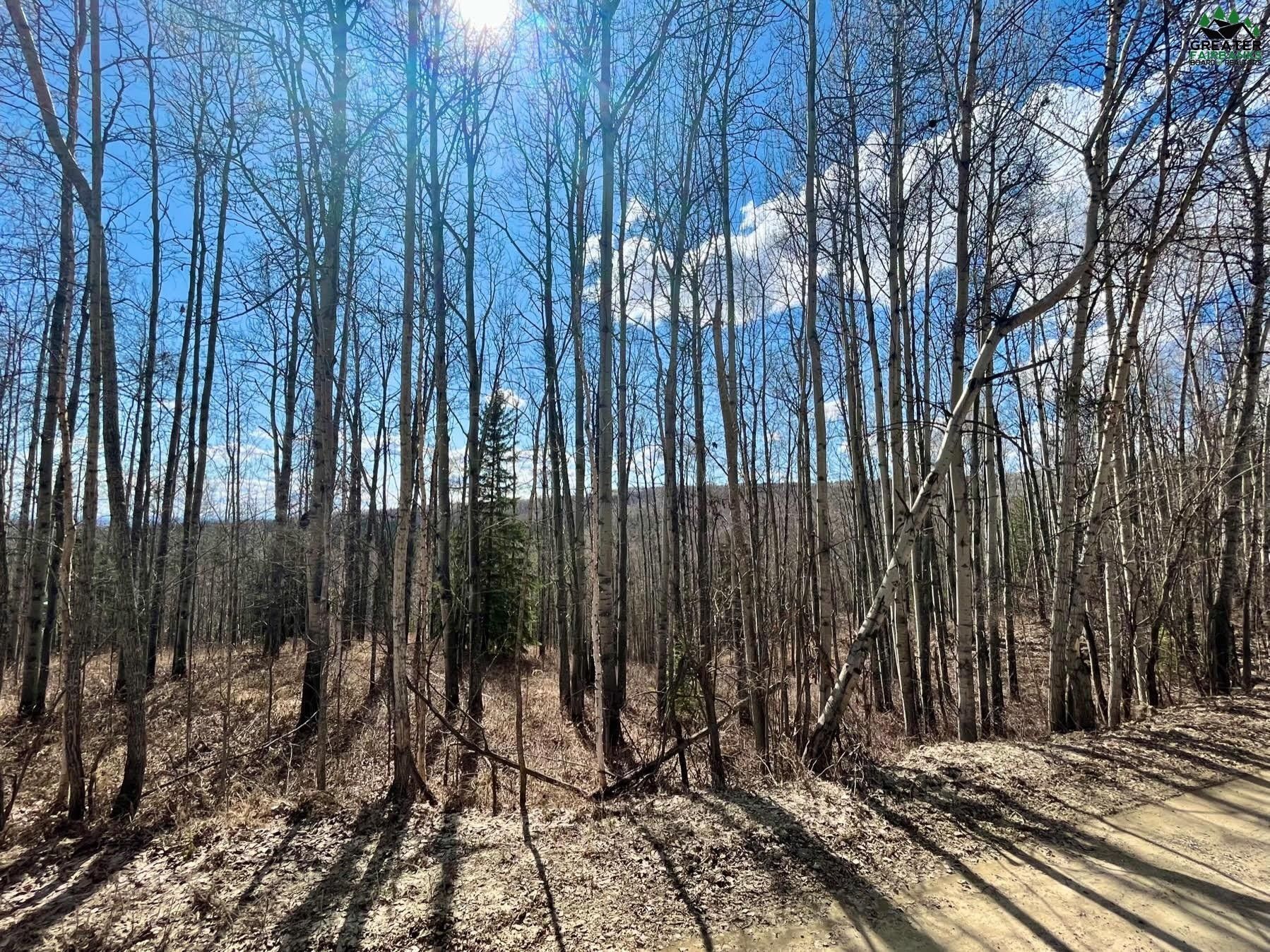 Fairbanks, Fairbanks North Star Borough, AK Undeveloped Land, Homesites