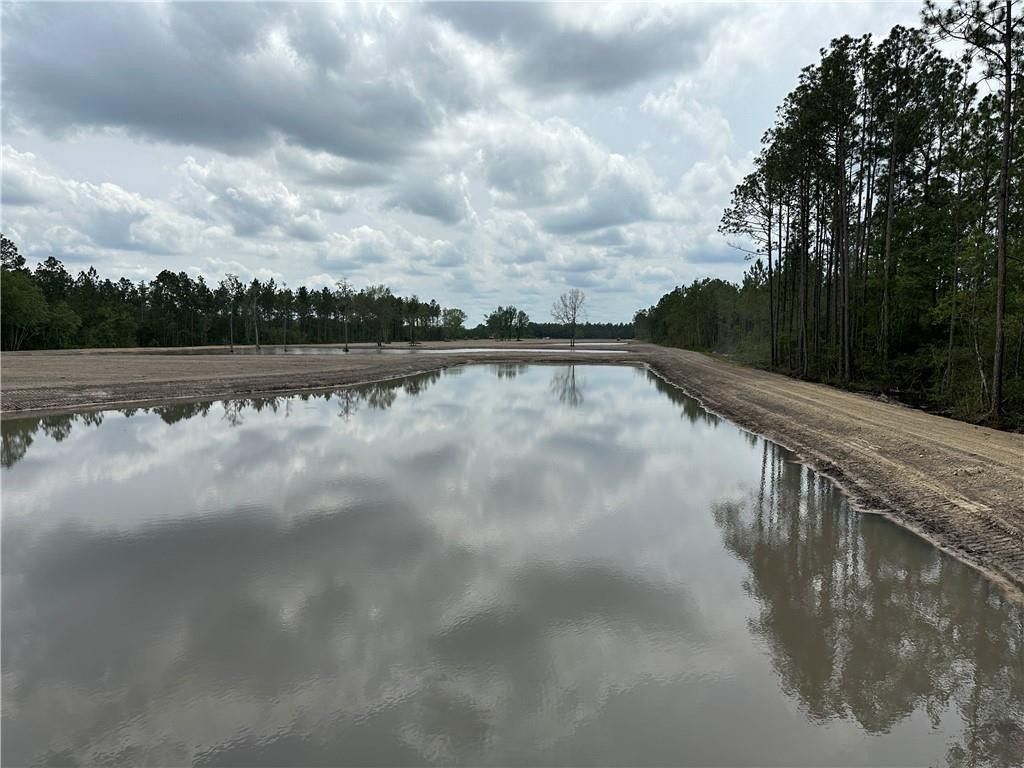Waycross, Ware County, GA Farms and Ranches, Lakefront Property