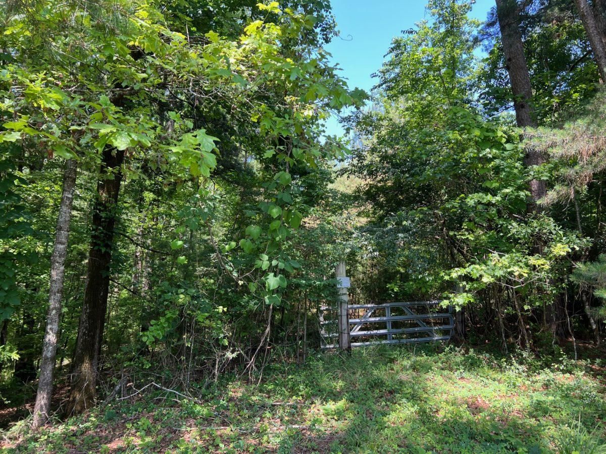 Meridian, Lauderdale County, MS Recreational Property, Timberland