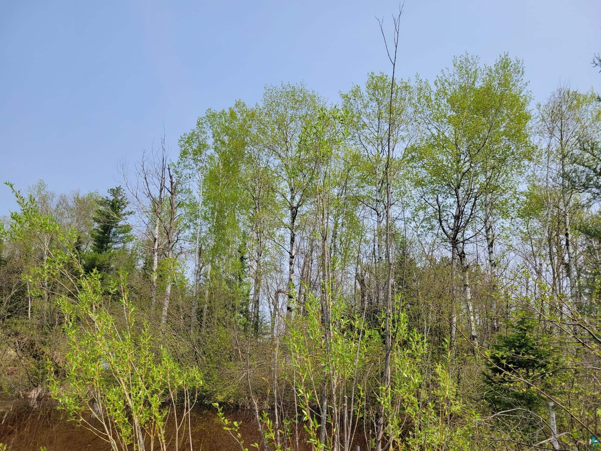 E County Rd A, Solon Springs, WI 55873 MLS 6108148 LandWatch