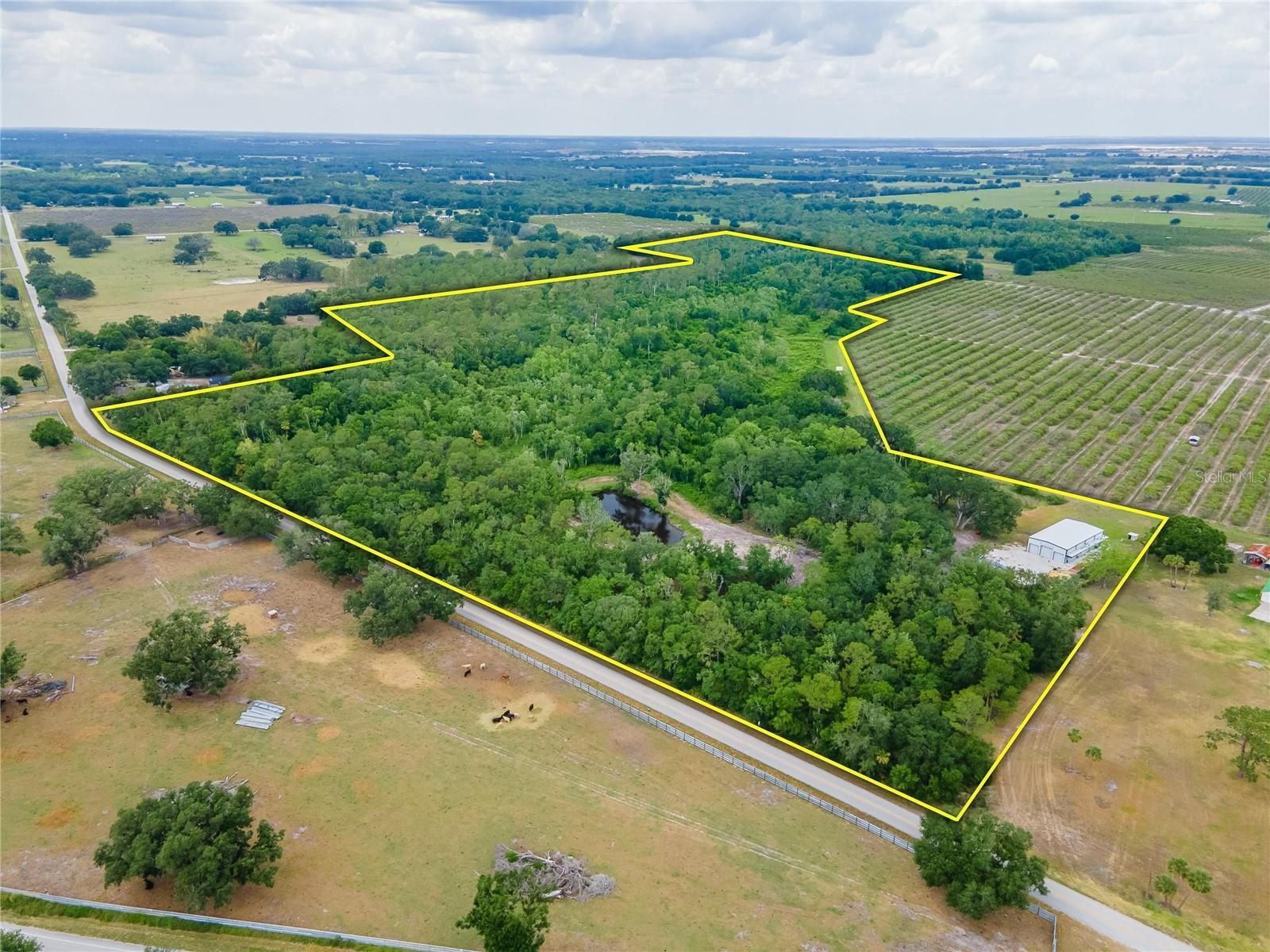 Wauchula, Hardee County, FL Recreational Property, Undeveloped Land