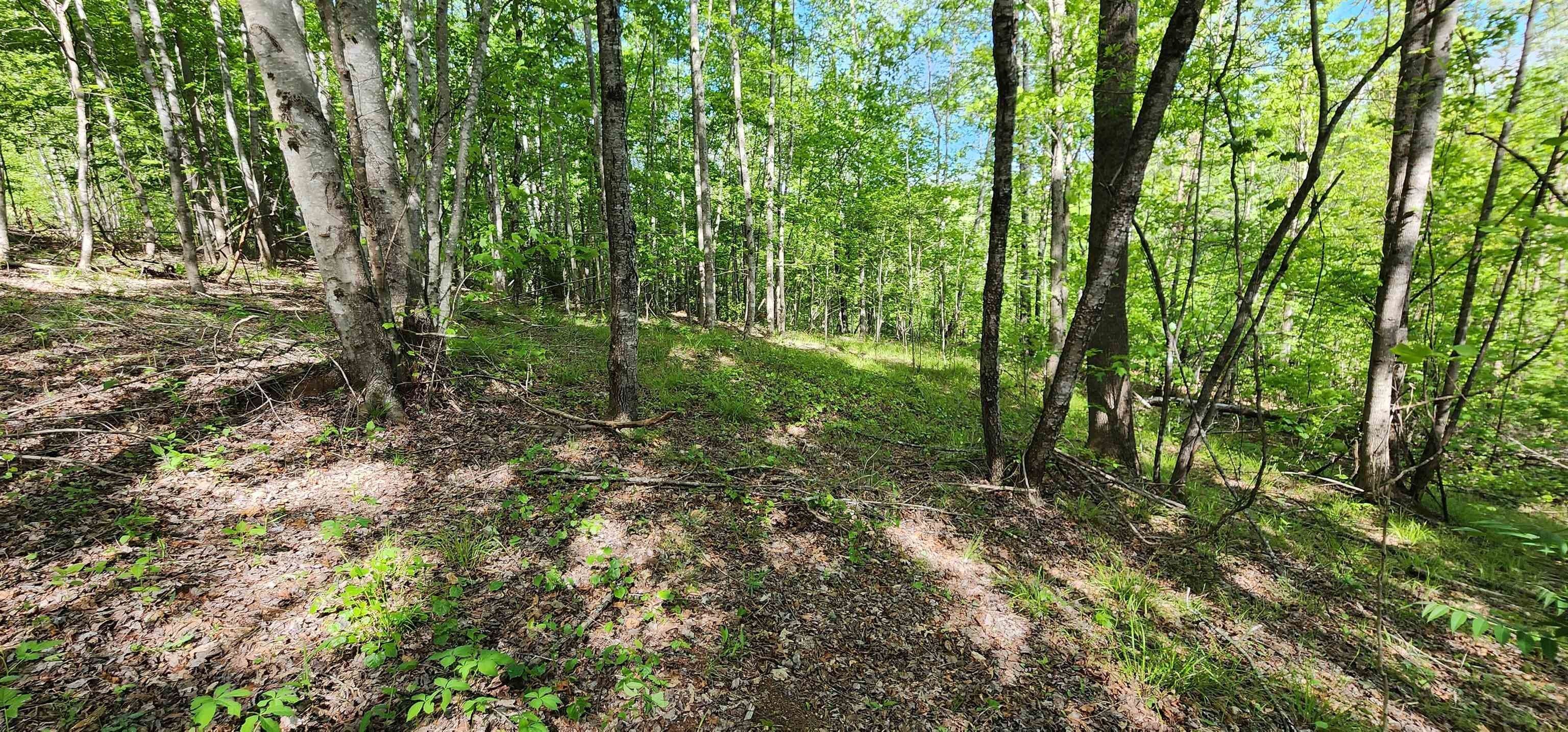 Mill Spring, Polk County, NC Undeveloped Land, Homesites for sale