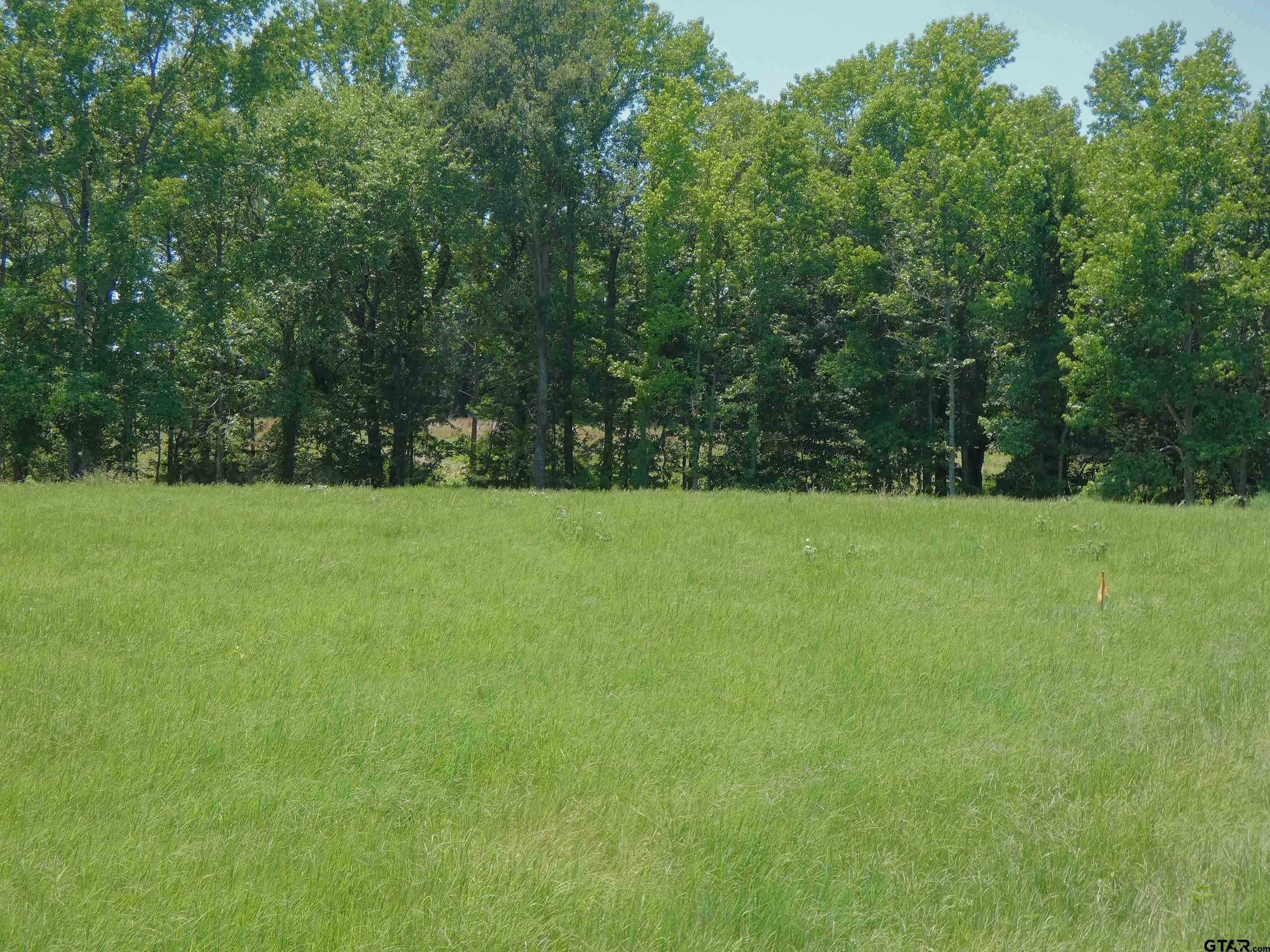 Mount Pleasant, Titus County, TX Farms and Ranches for sale Property ID