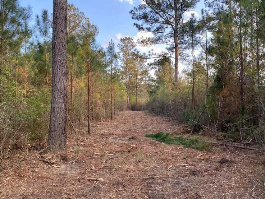 Lumberton, Pearl River County, MS Recreational Property, Undeveloped