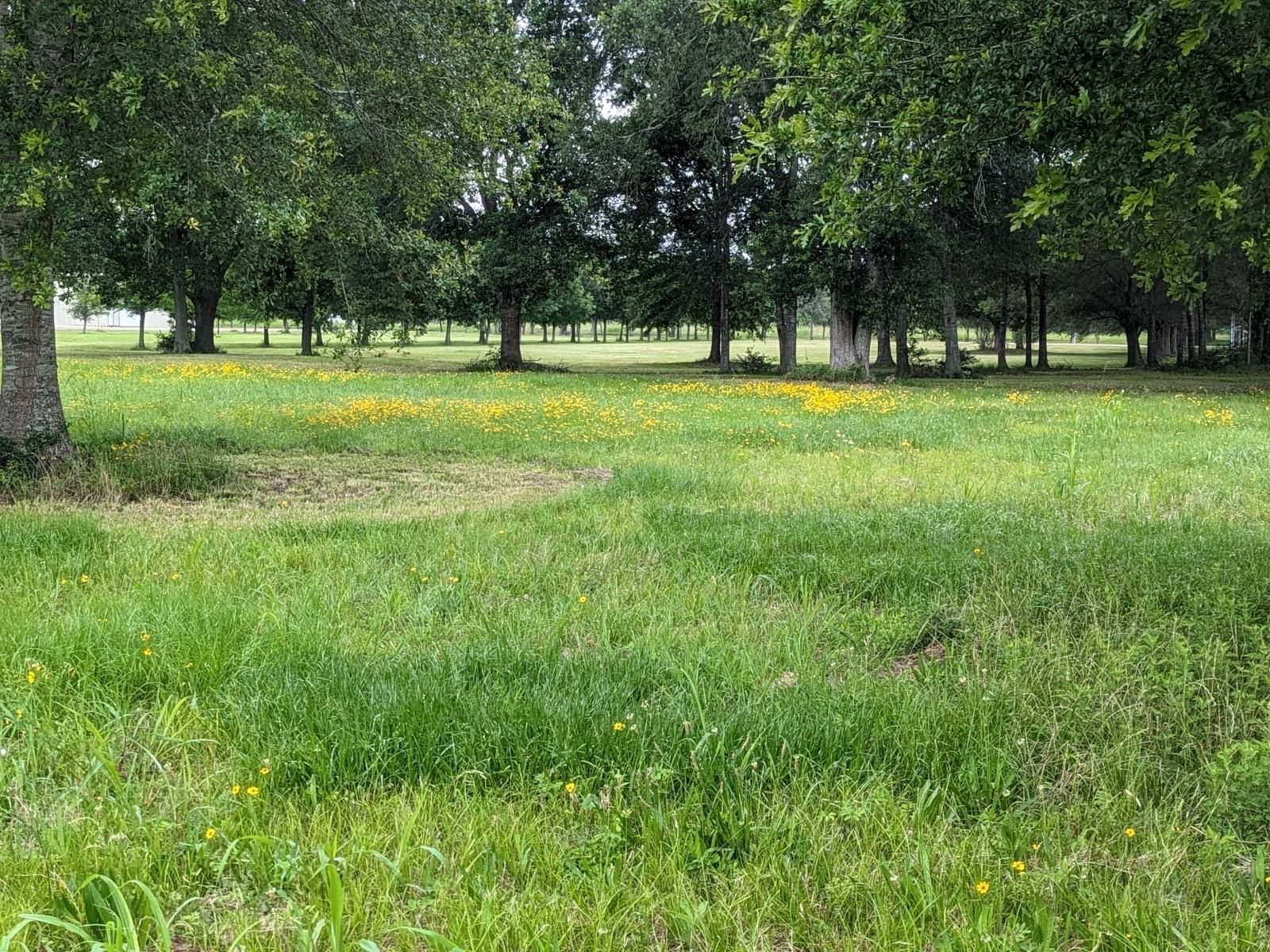 23019 Farm to Market 1462, Needville, TX 77461 MLS 84145949 LandWatch