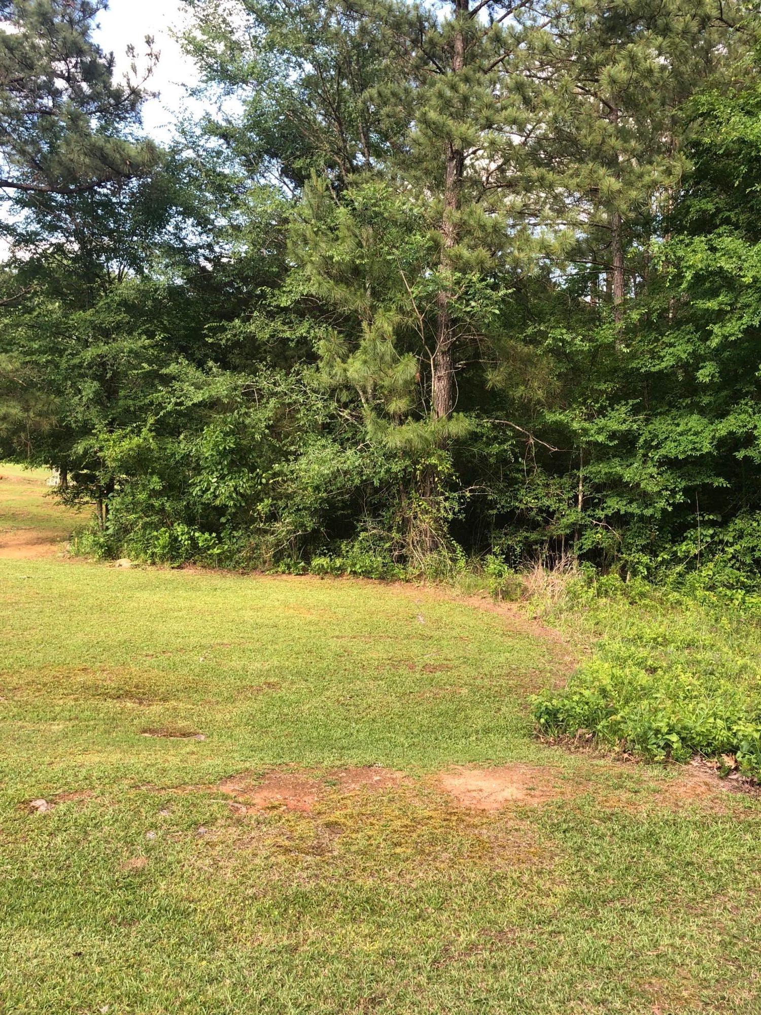 Crawfordville, Taliaferro County, GA Undeveloped Land, Hunting Property