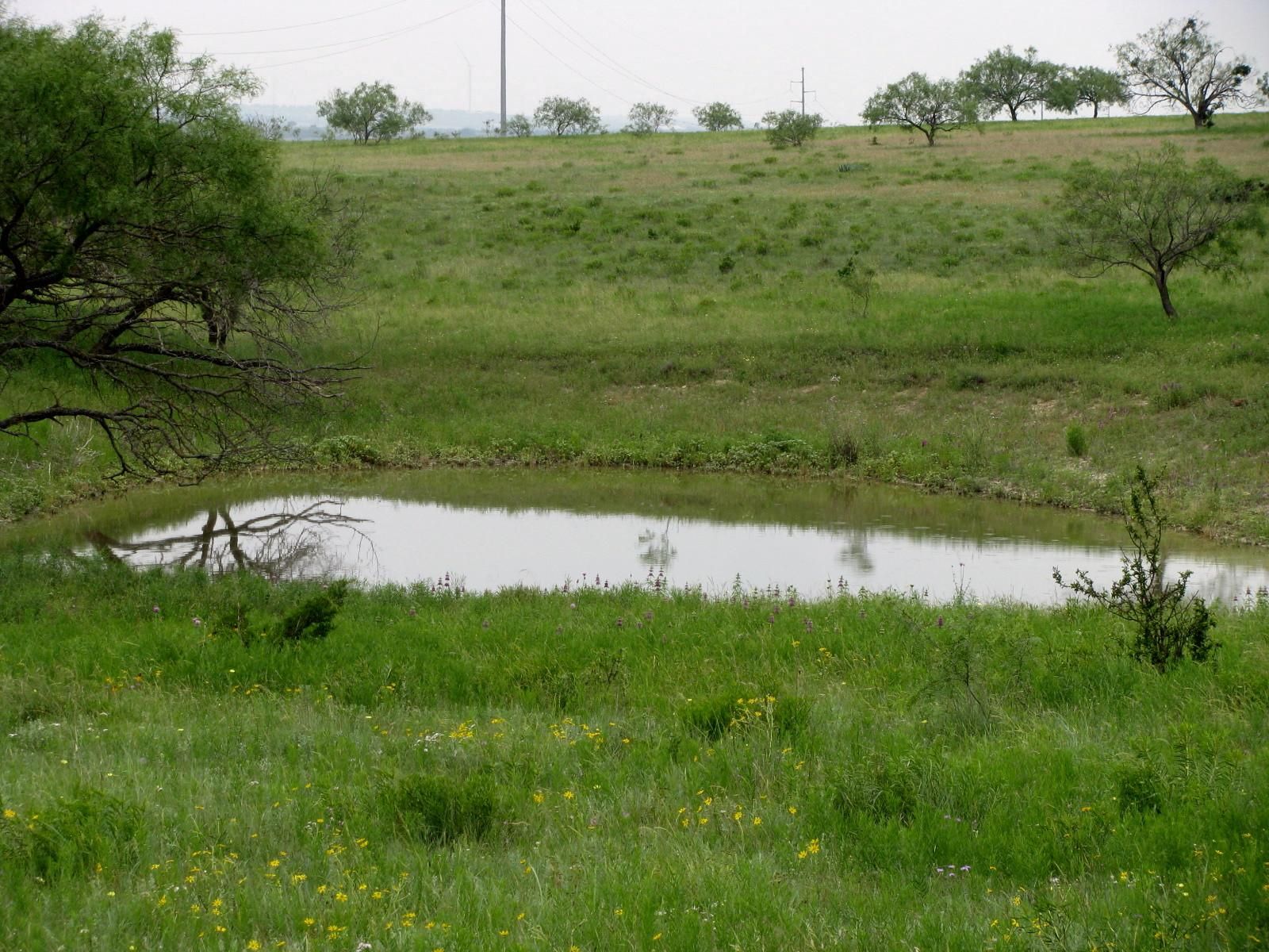 Goldthwaite, Mills County, TX Farms and Ranches, Recreational Property