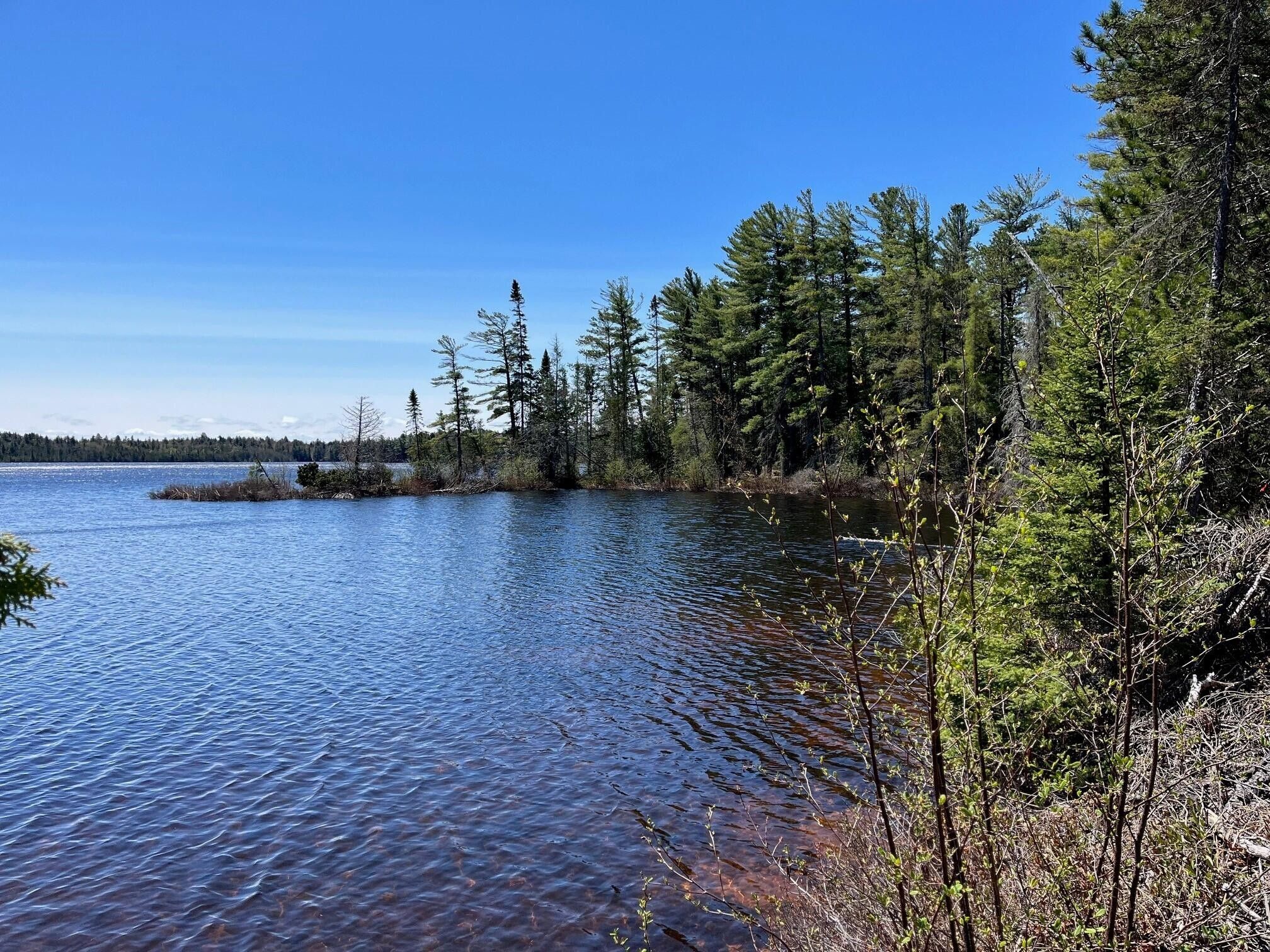 Newberry, Luce County, MI Undeveloped Land, Lakefront Property