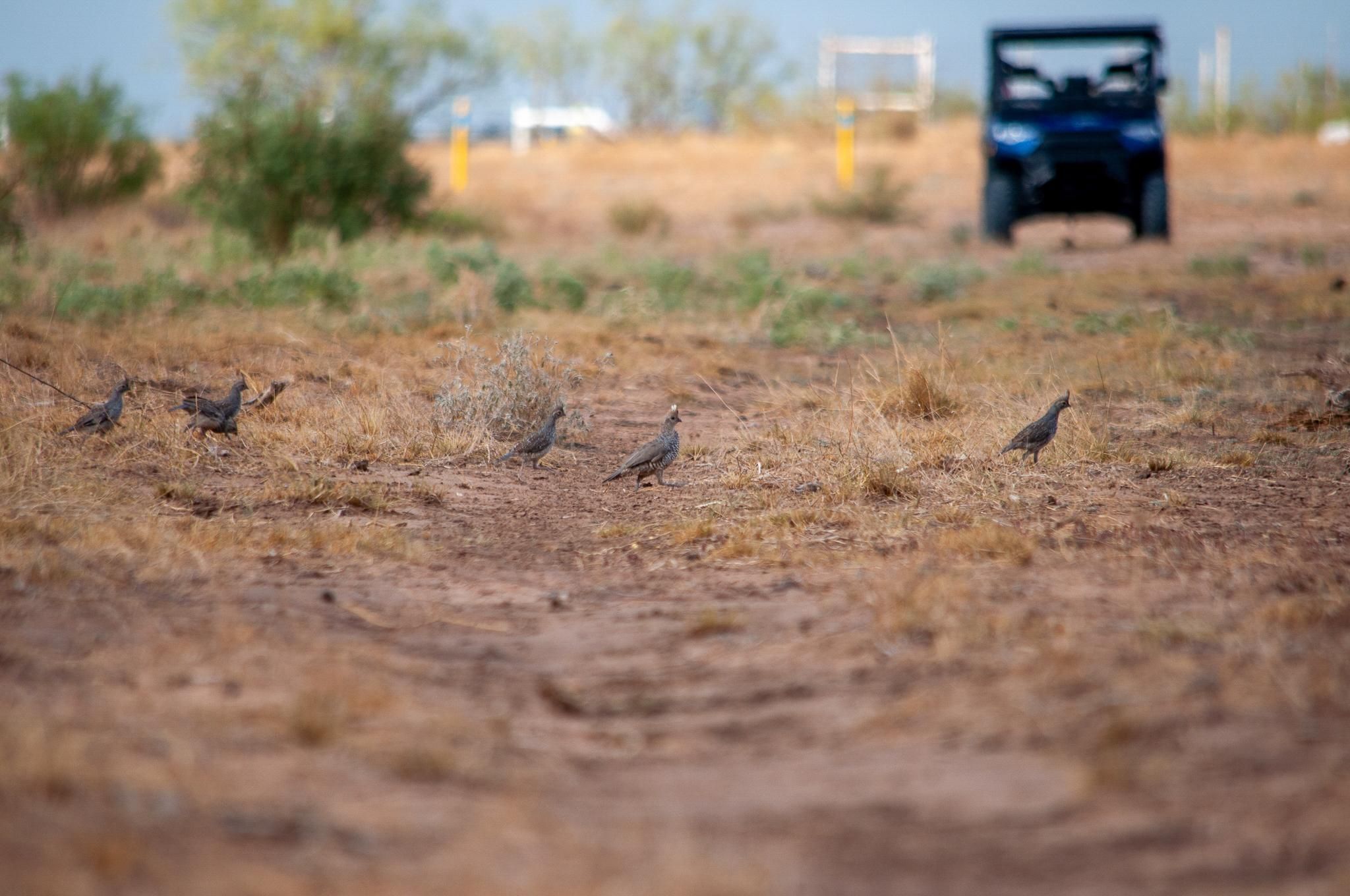 538.03 acres in Midland, TX, 79706 MLS Hicks Ranch Historic