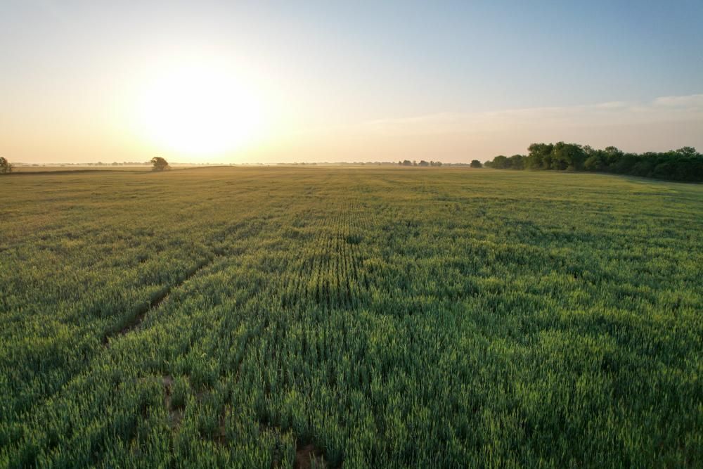 0000 CR 1010, Lamont, OK 74643 MLS Grant 120 LandWatch