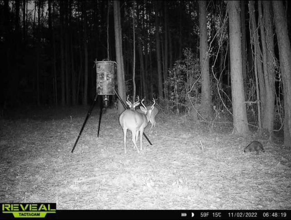 0008 Cole Dr SE, Ruth, MS 39662 MLS 4042998 LandWatch