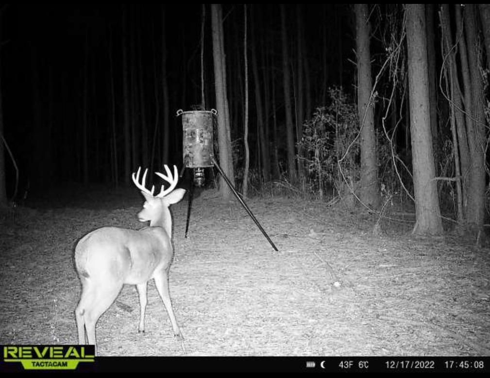 Ruth, Lincoln County, MS Recreational Property, Hunting Property for