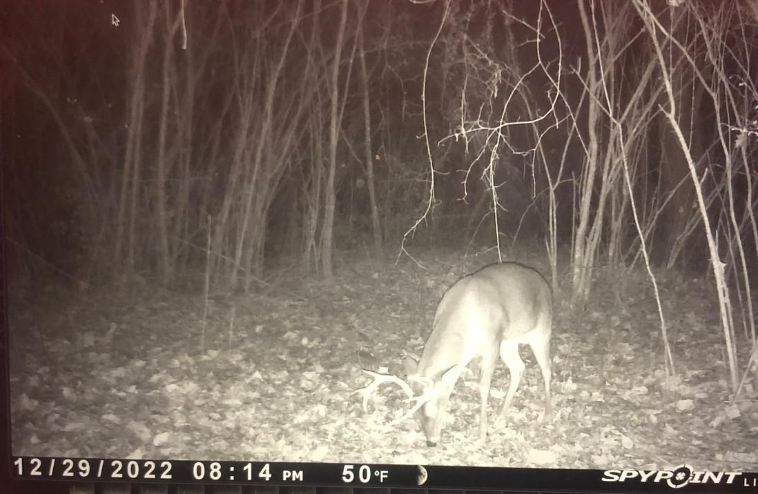 Ruth, Lincoln County, MS Recreational Property, Hunting Property for