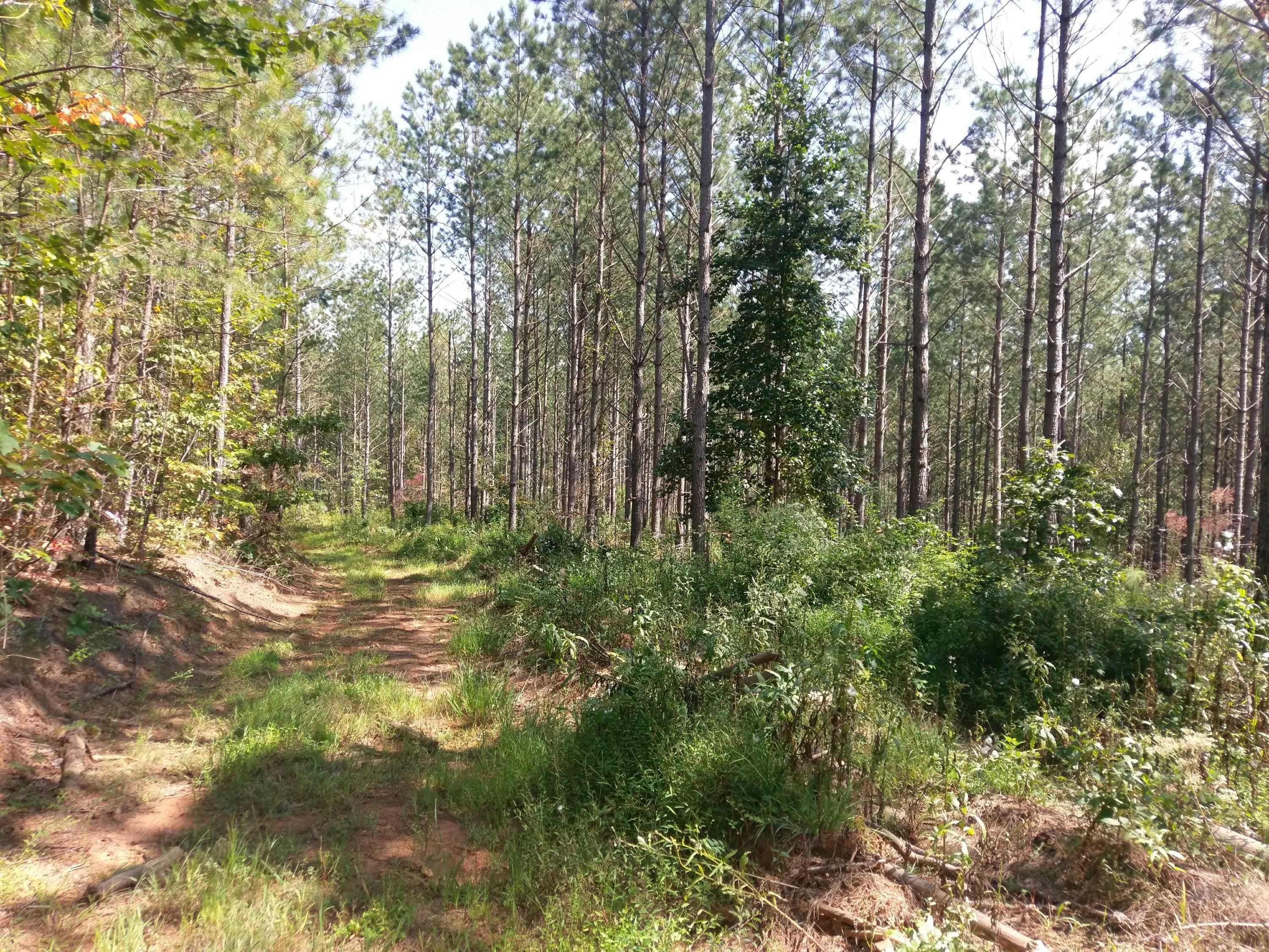Ellijay, Gilmer County, GA Recreational Property, Timberland Property